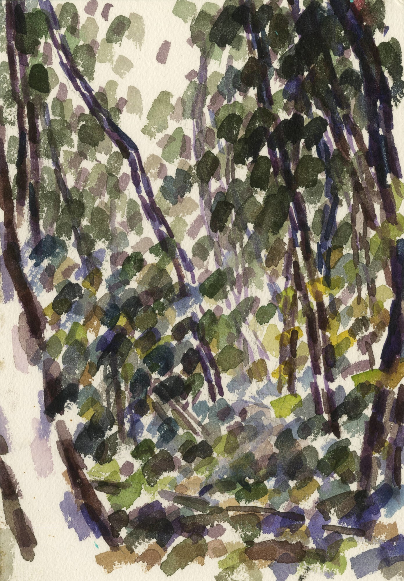 王俊 Wang Jun, 林中写生系列No.2 | Watercolor Sketching in the Forest No.2, 2018.11.28