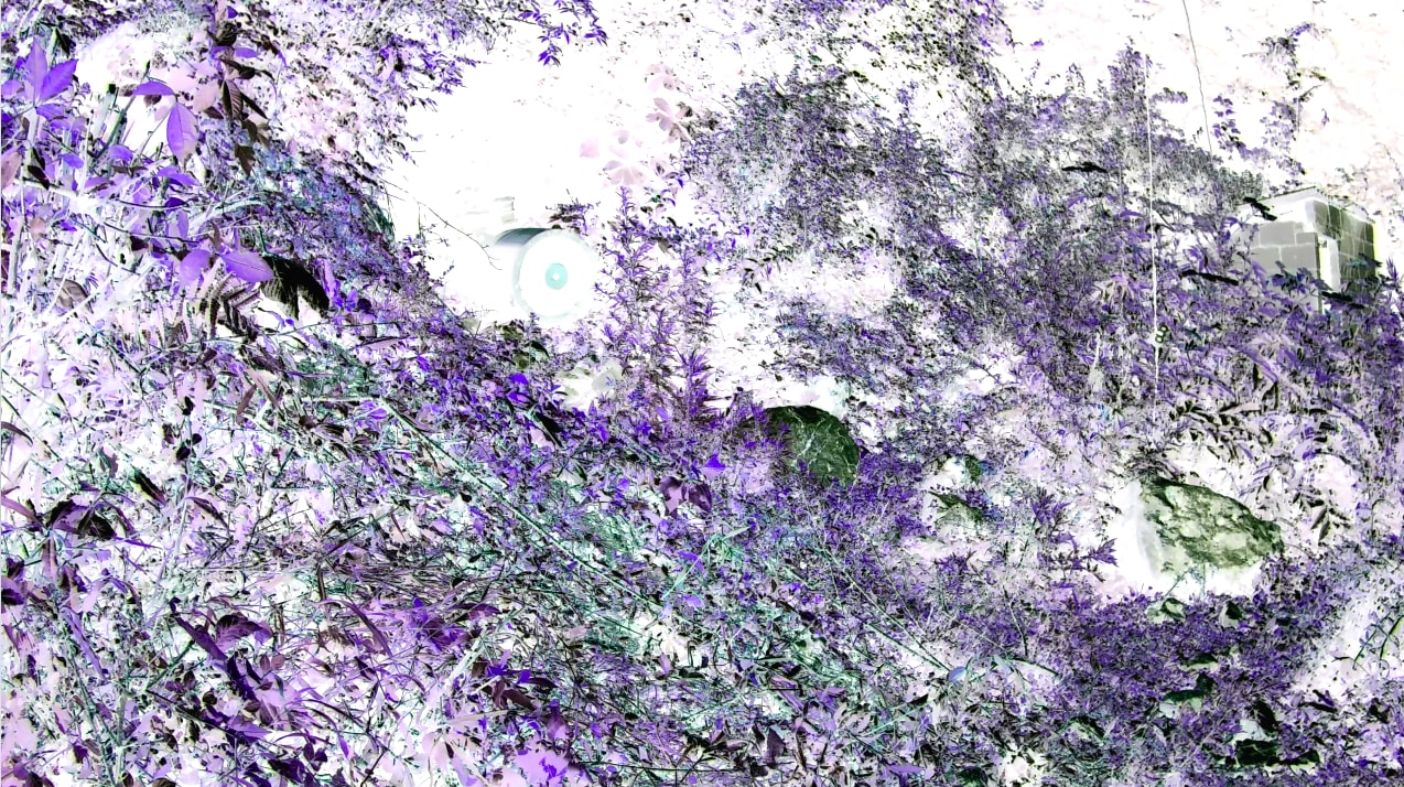 陈萧伊 Chen Xiaoyi, 心跳:风吹草动 Heartbeat: Wind sways grass, 2021