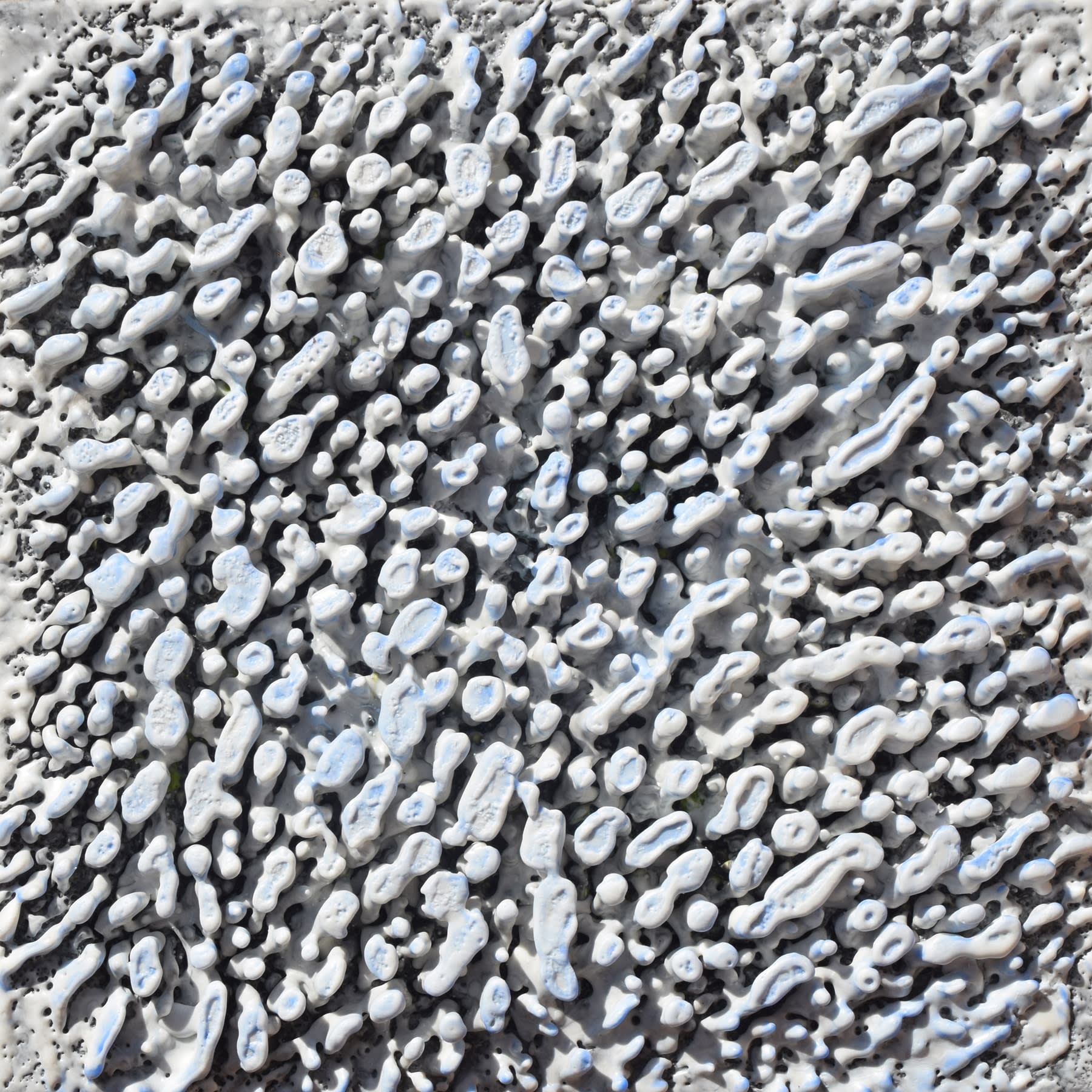 Karine Swenson, Frosted, 2021