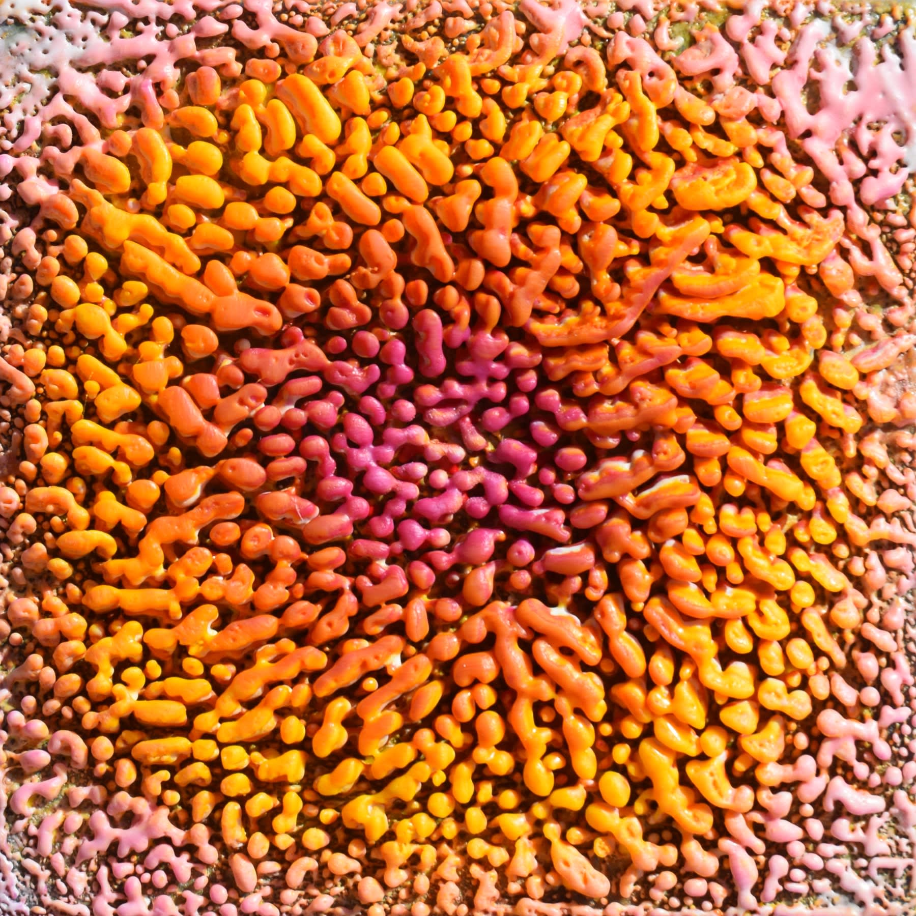 Karine Swenson, Pollinator's Dream, 2021