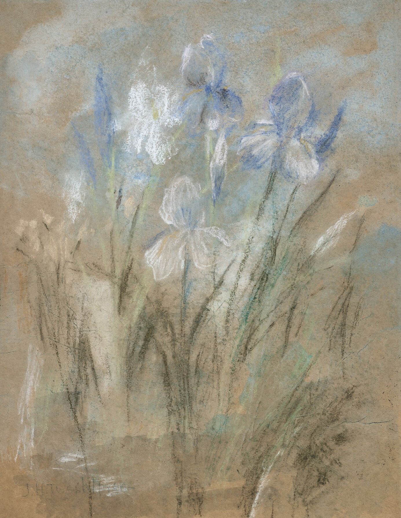 John Henry Twachtman, Irises, c. 1890s