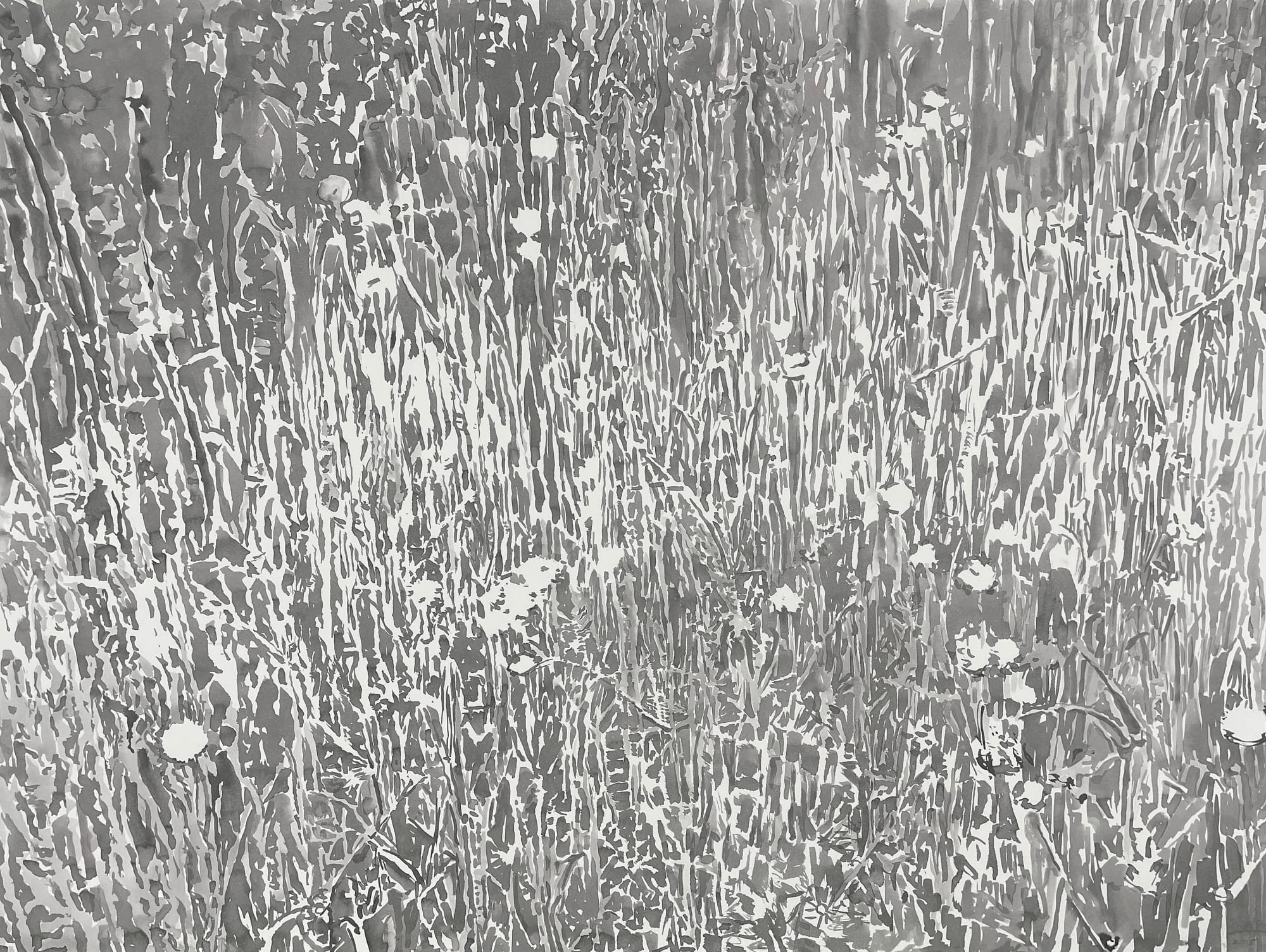 Emily Brown, Dandelions, 2015