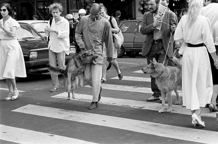 Nassouh Zaghlouleh, Tel Maitre Tel Chien, 1986