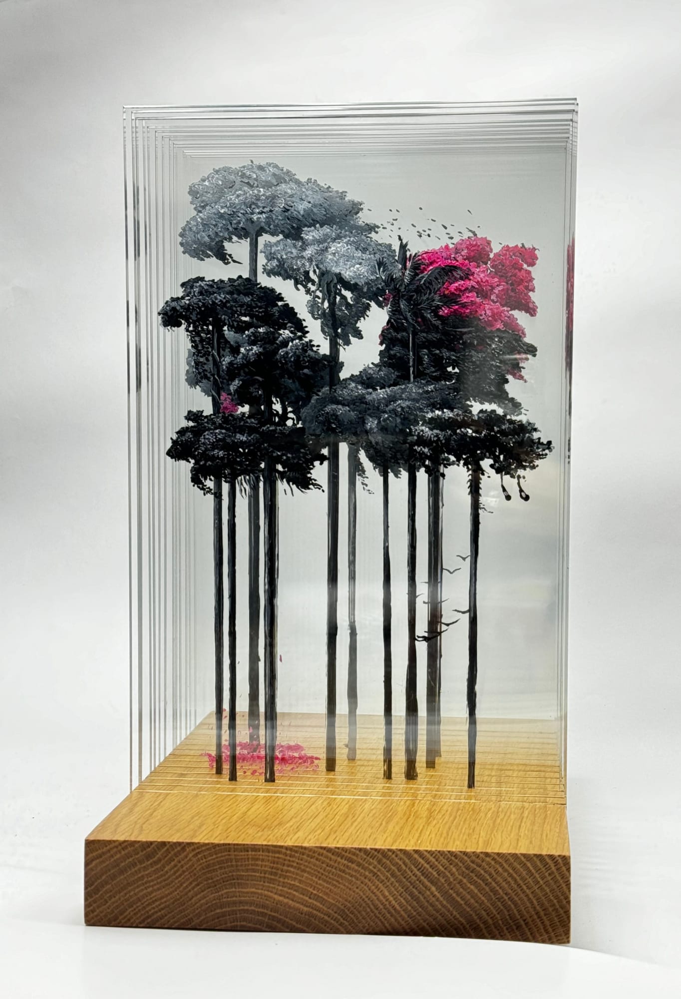 Camila Echavarria, The unseen - Pink Ceiba, 2024