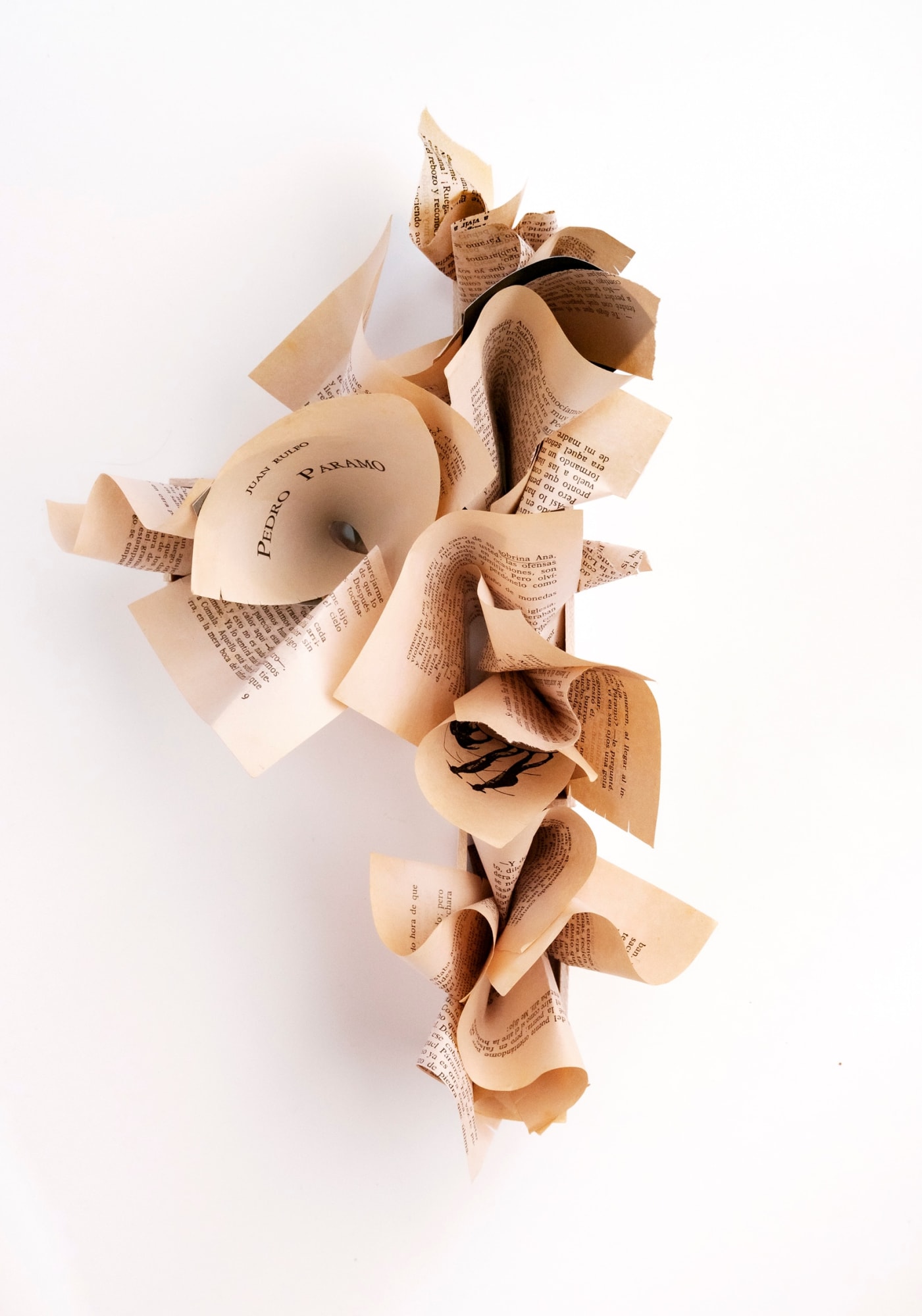 Jairo Llano, Do You Know Pedro Paramo? , 2022