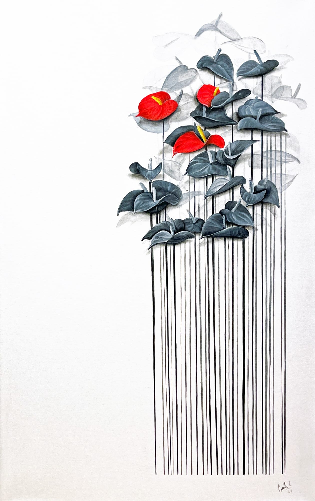 Camila Echavarria, Anturios, 2024