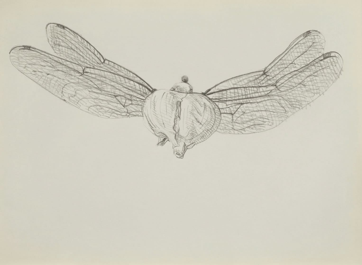 Juan Carlos Rivero-Cintra, Crossroads 14, 2022