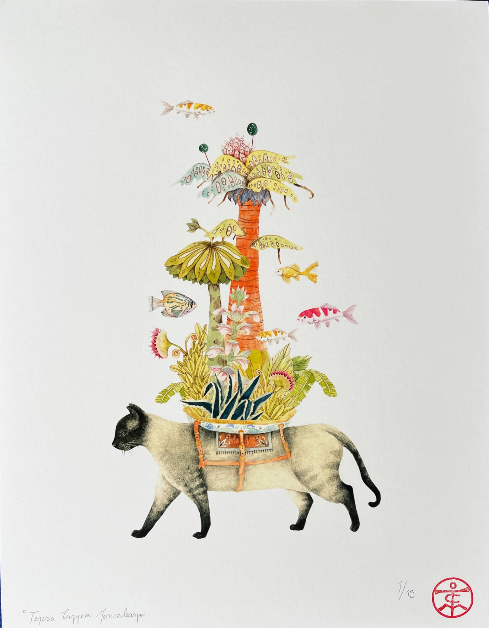 Teresa Currea, Cat, 2022