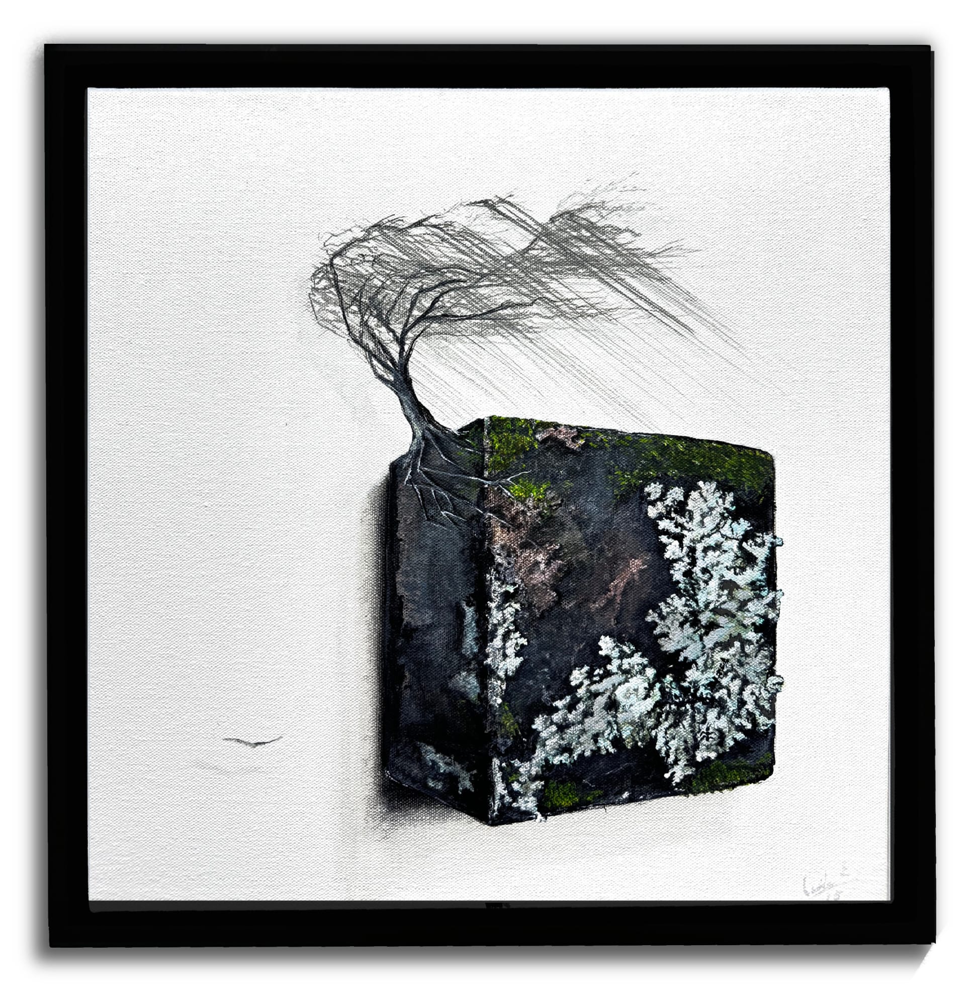 Camila Echavarria, Wood, 2025