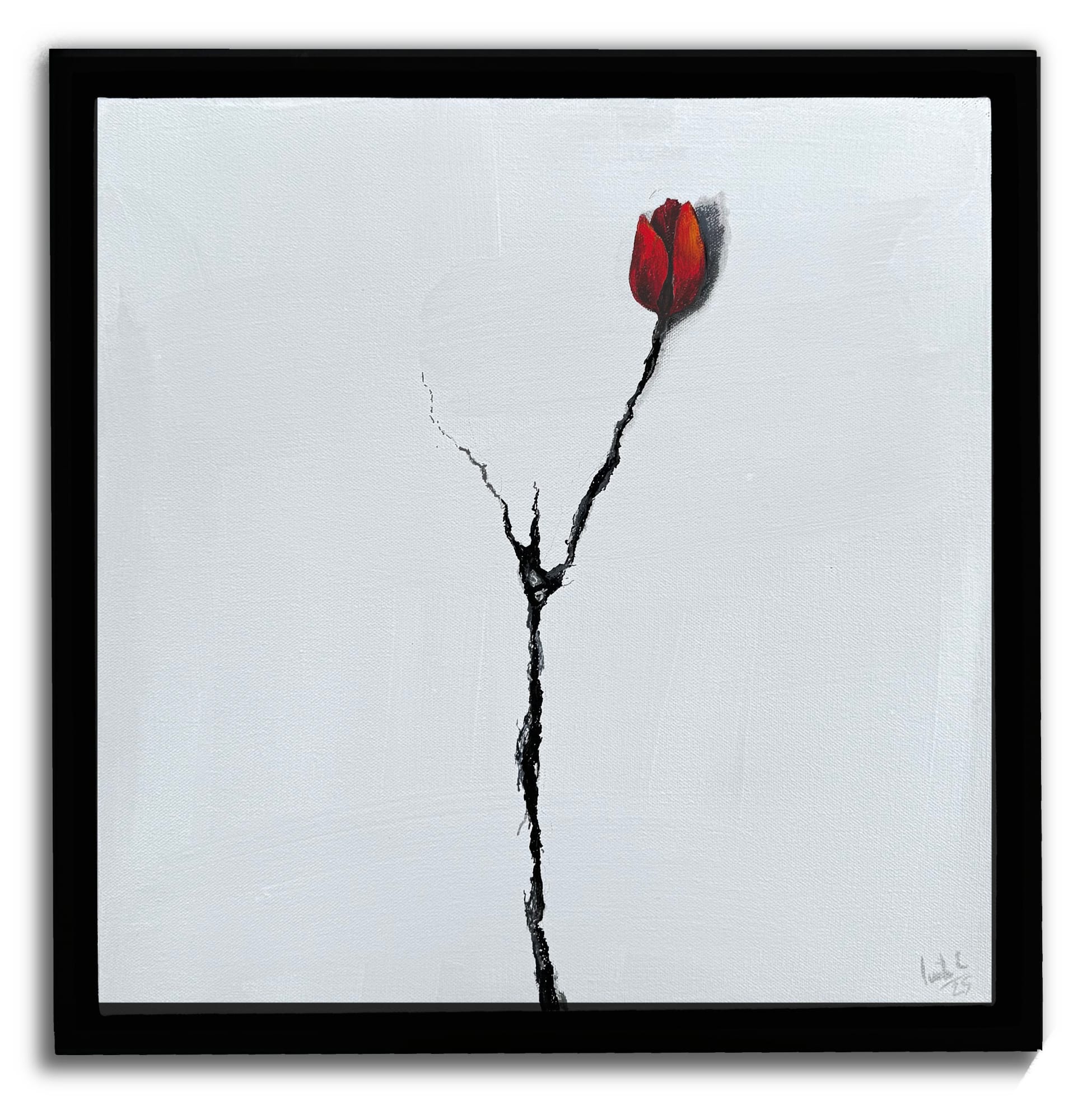 Camila Echavarria, The Flower that Grew from the Crack, 2025