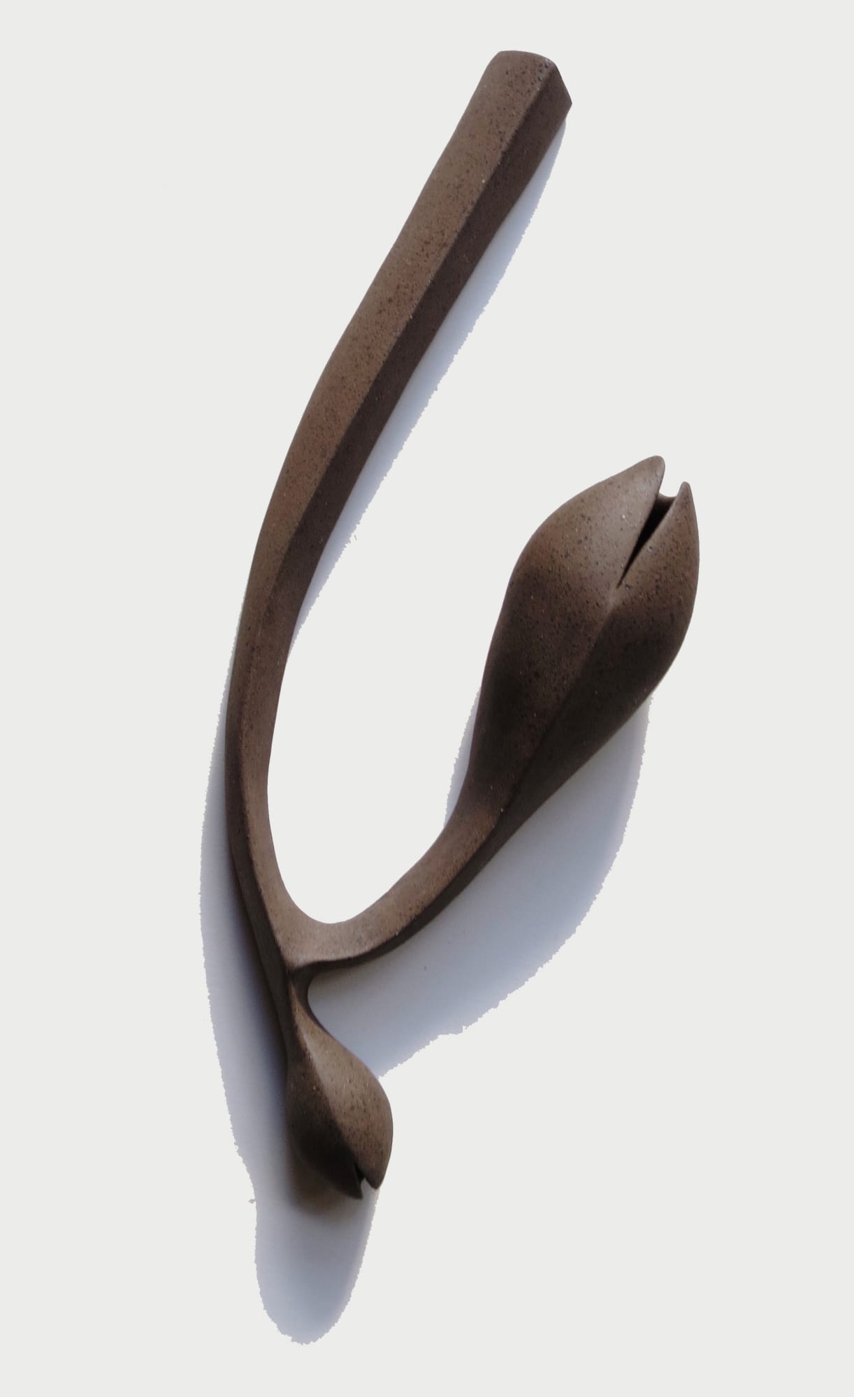 Carol Young, Viriditas 13, 2022