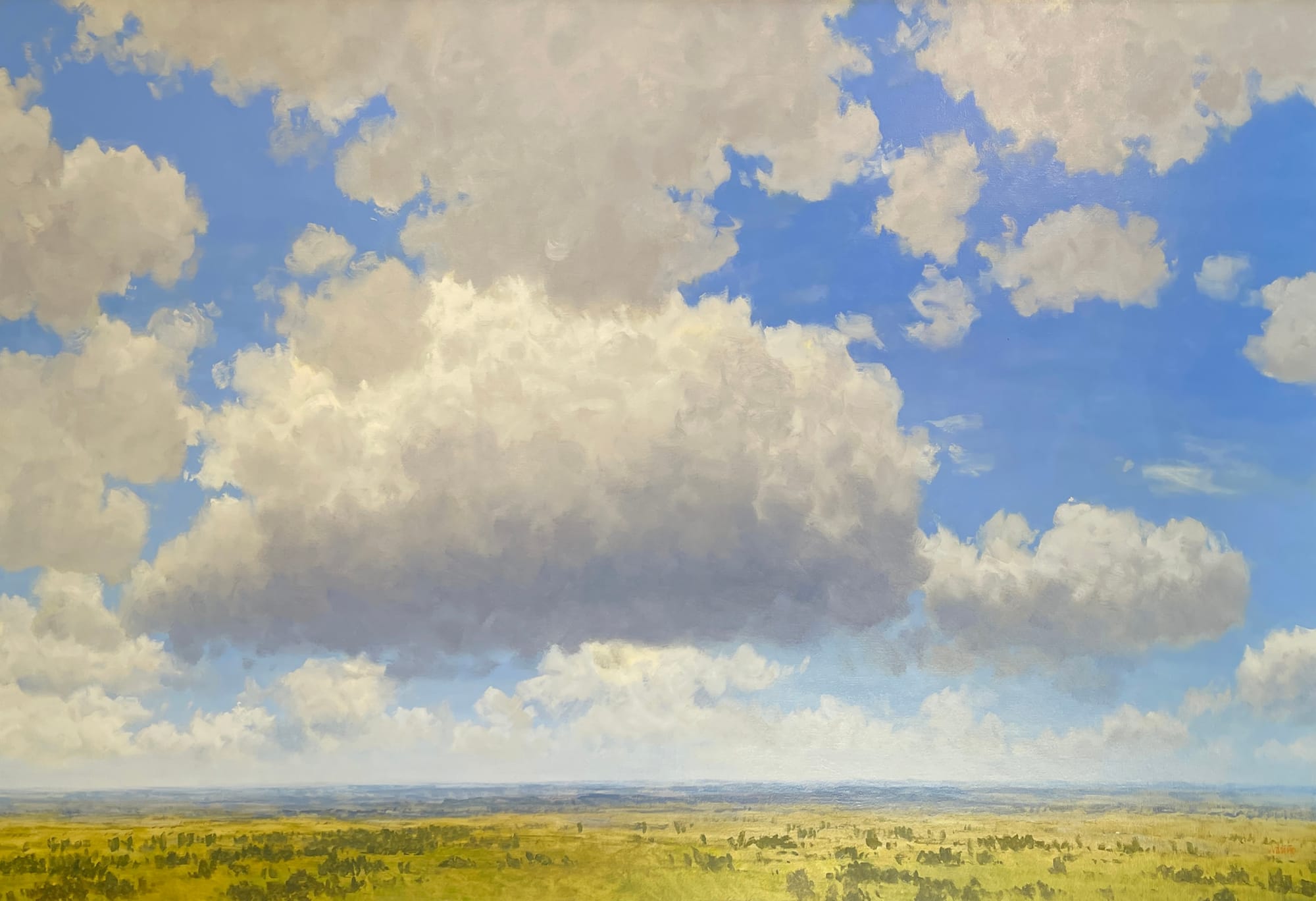 Carlos Nariño, Gran nube clara sobre la sabana