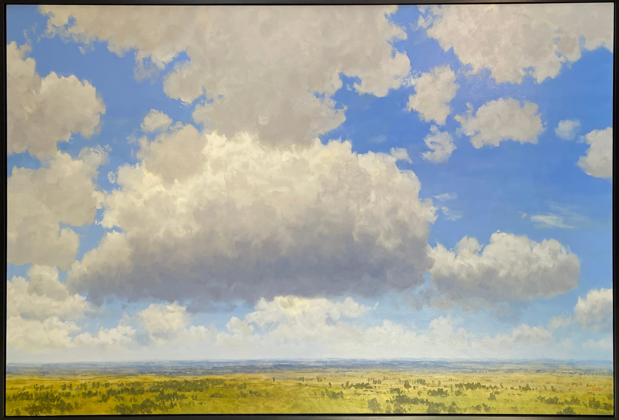 Carlos Nariño*, Great White Cloud Over the Savanna, 2022