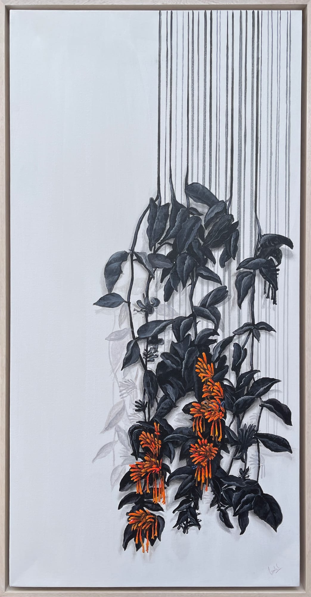 Camila Echavarria, Golden Rain, 2025