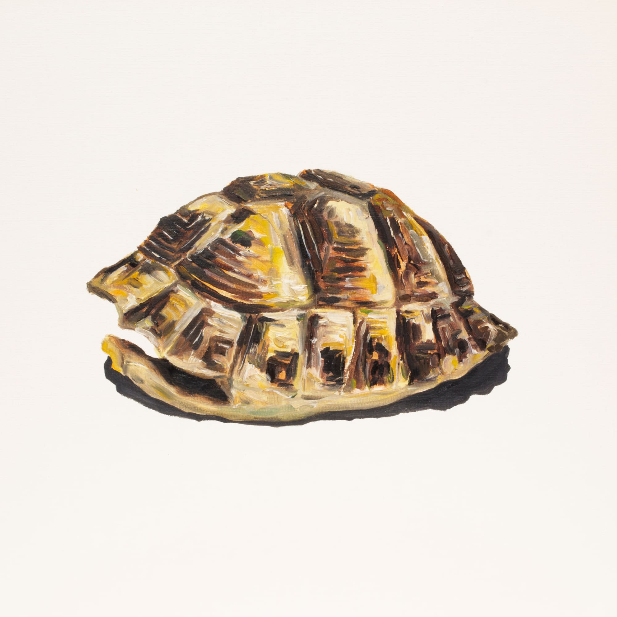 Carlos Alarcon, Still LIfe 6, 2023