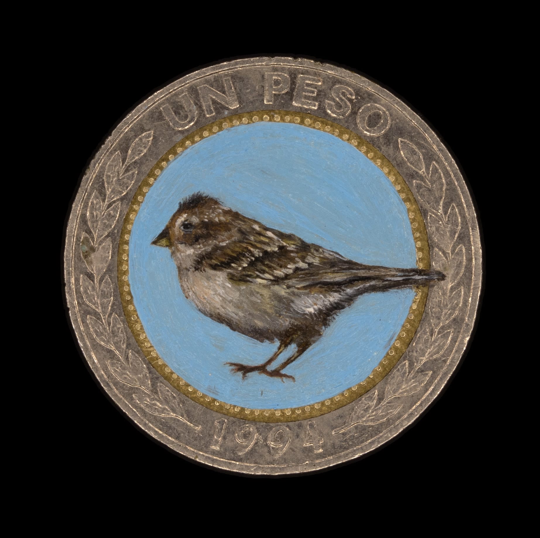 Carlos Alarcon, Sparrow, 2020-2021