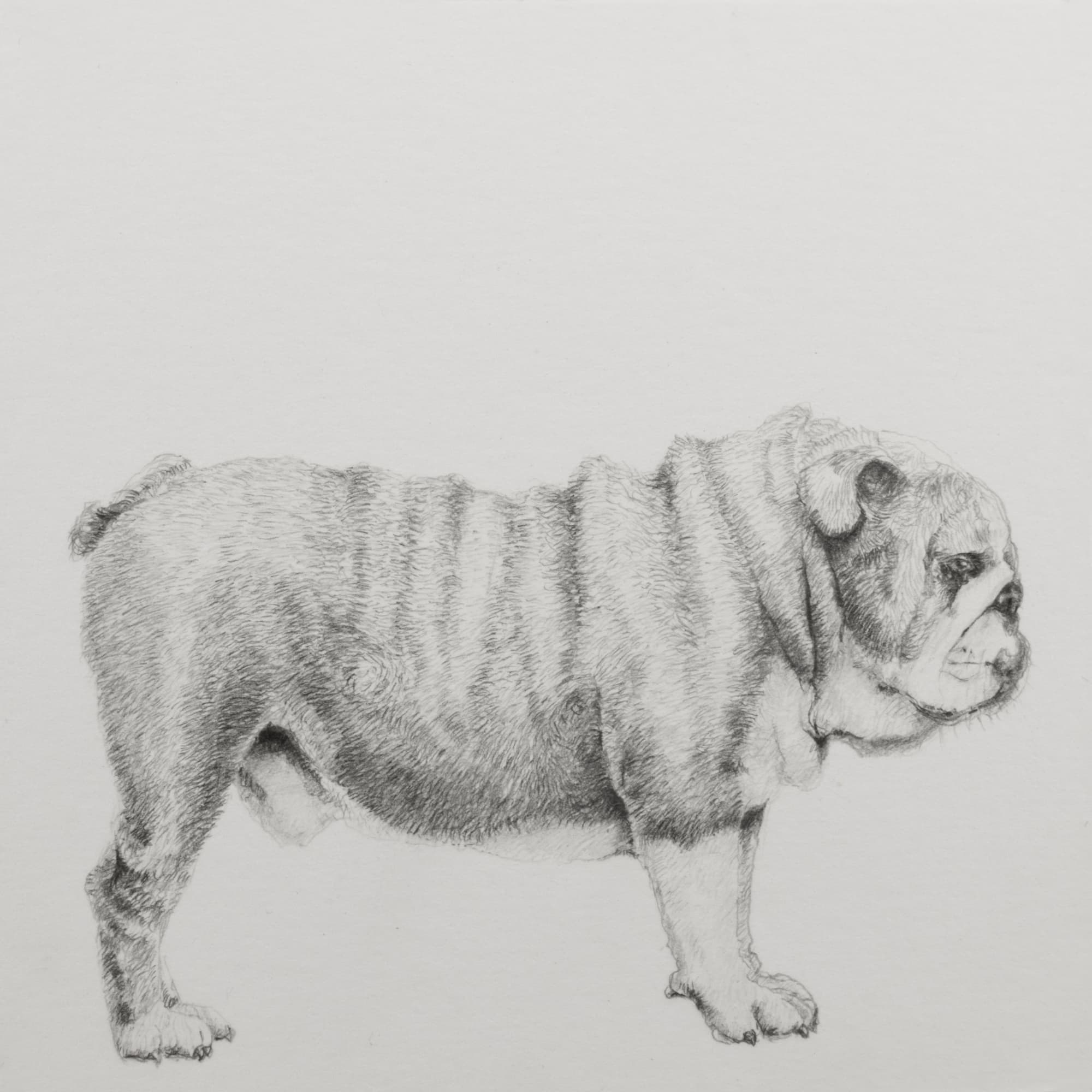 Carlos Alarcon, Paradox No. 1, 2018