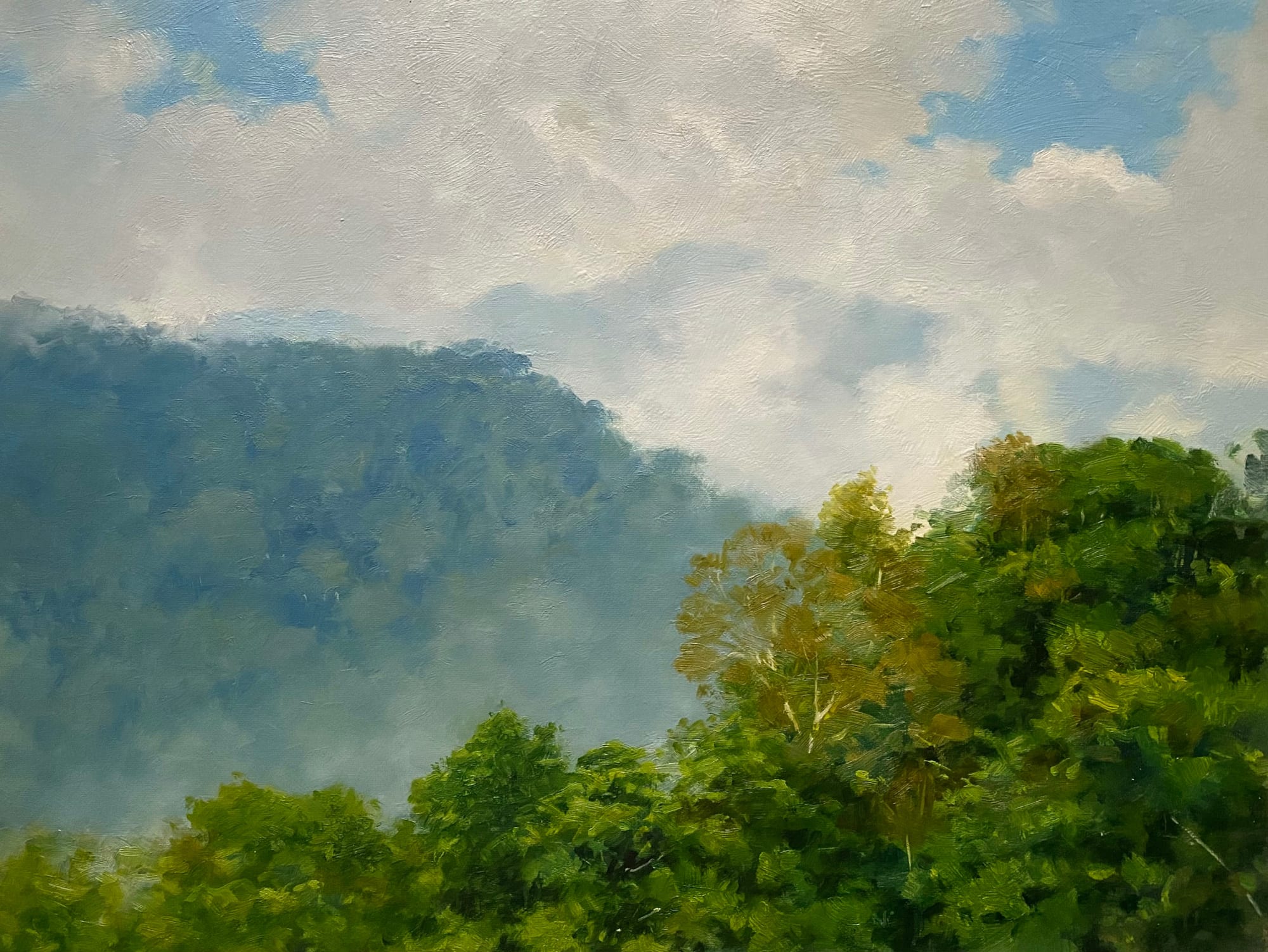 Carlos Nariño, Landscape and Fog, 2023