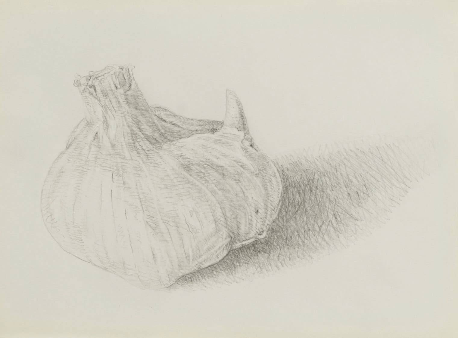 Juan Carlos Rivero-Cintra, Crossroads 21, 2022