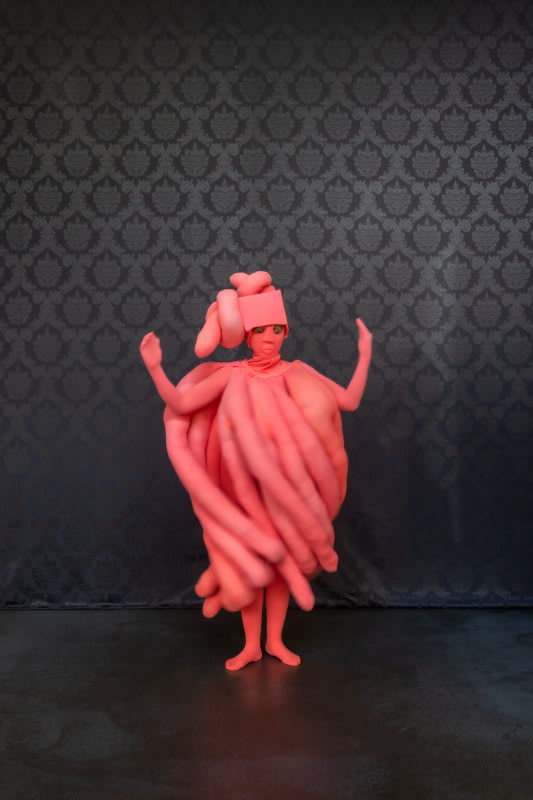 Clemencia Labin, Coral Wing, 2019