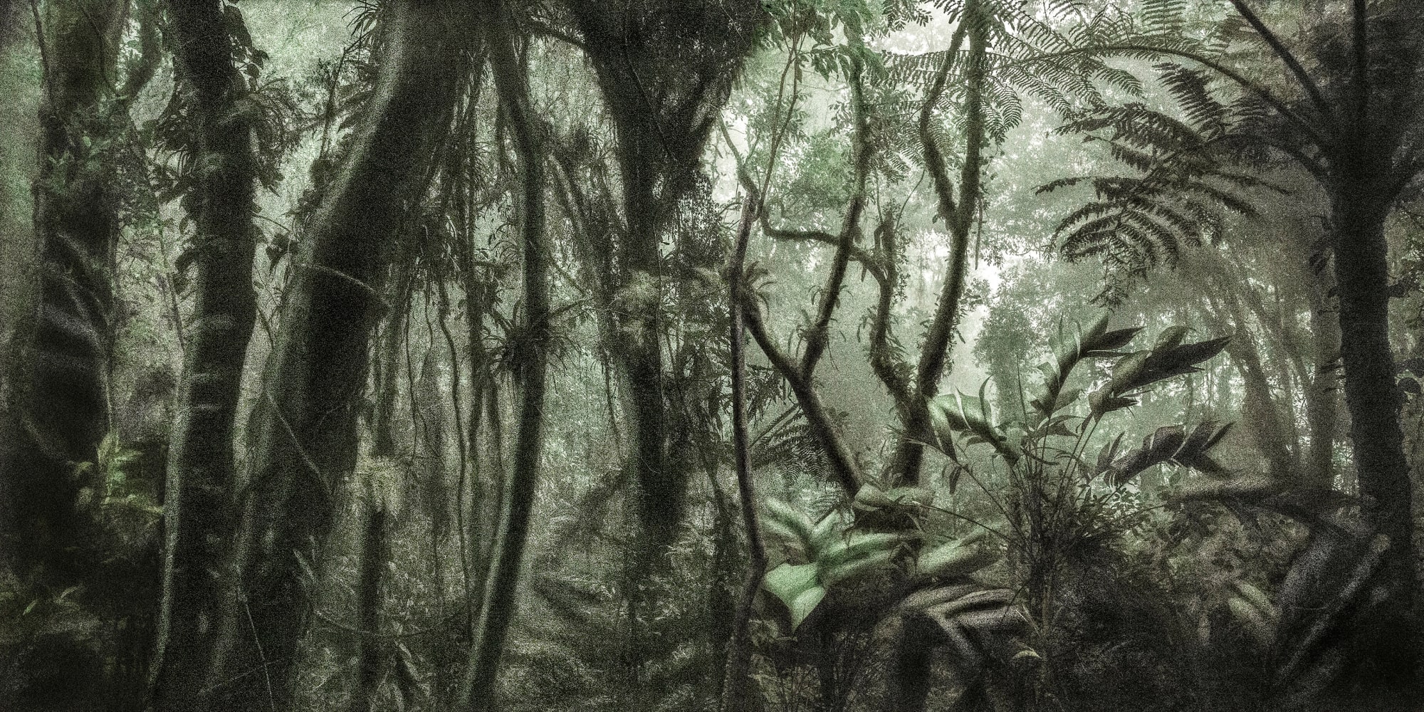 Cássio Vasconcellos, Viagem Pitoresca pelo Brasil #80, 2016