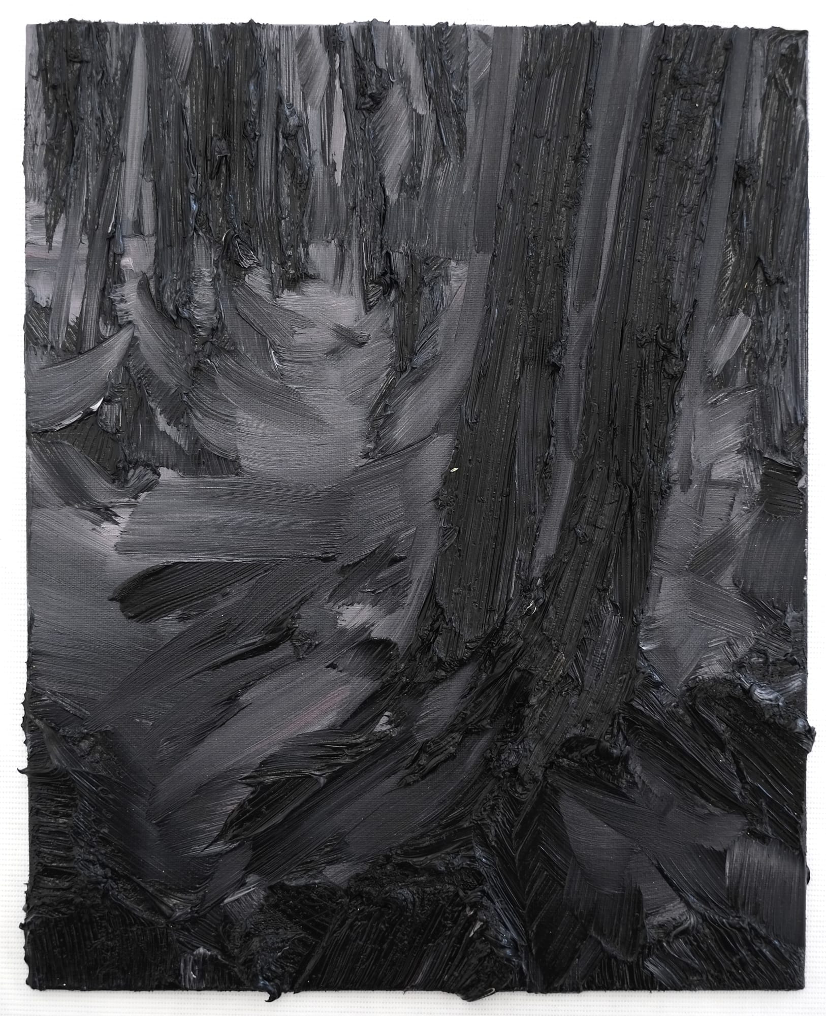 Conrad Jon Godly, Schwarzwald, 2010