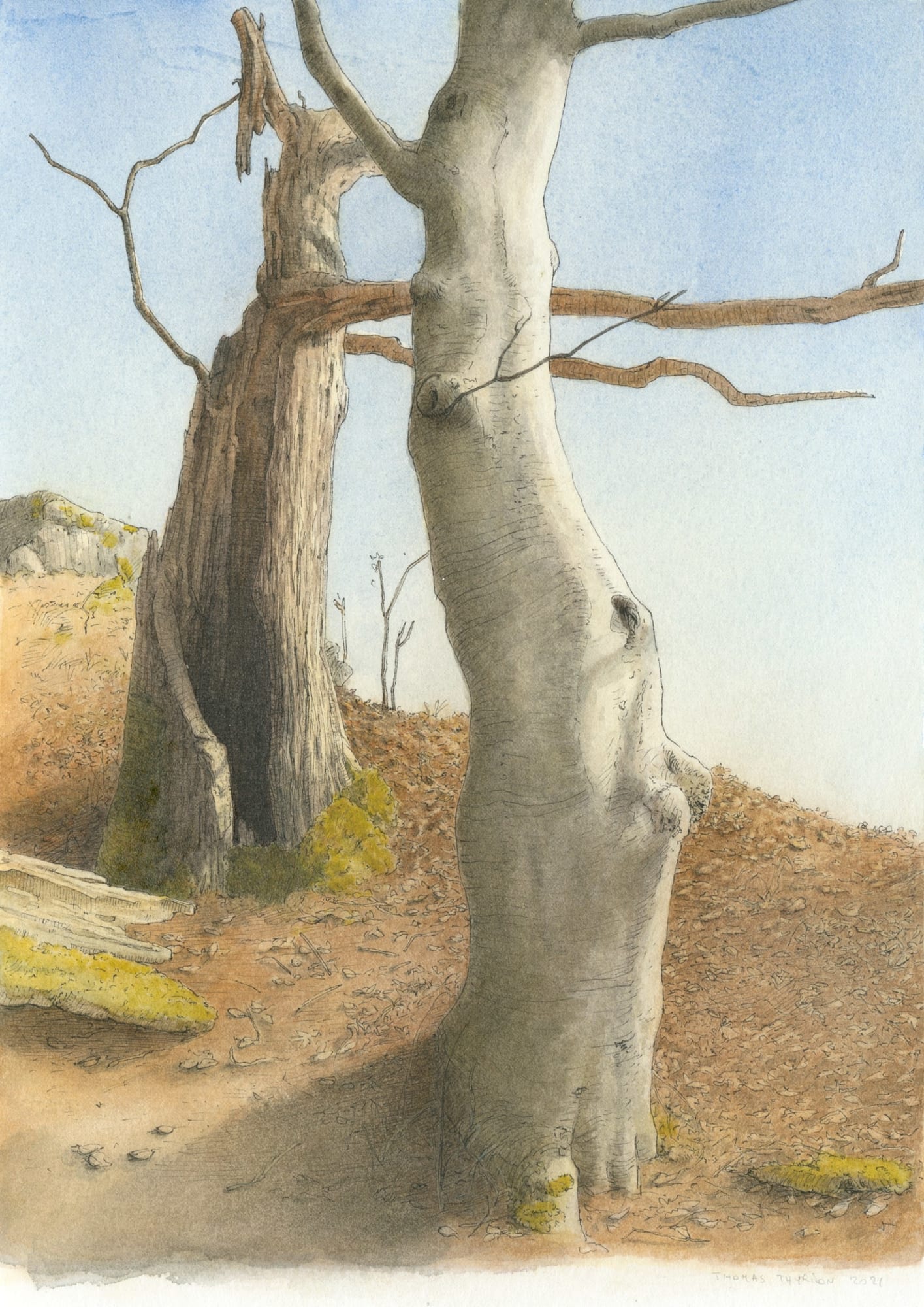 Thomas Thyrion, ohne Titel, 2021