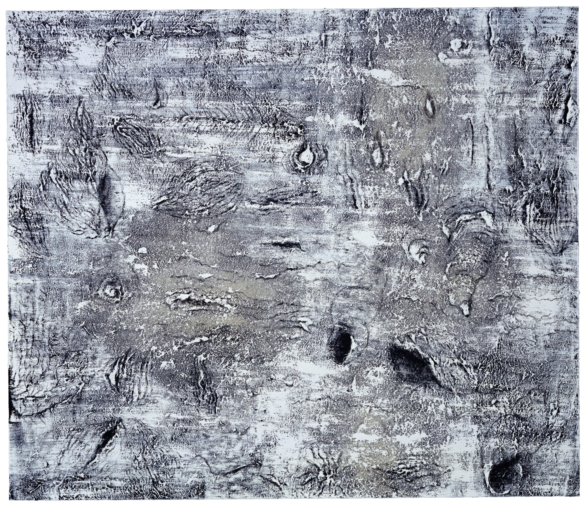 Miquel Barceló, En Fonds Sableux, 2004