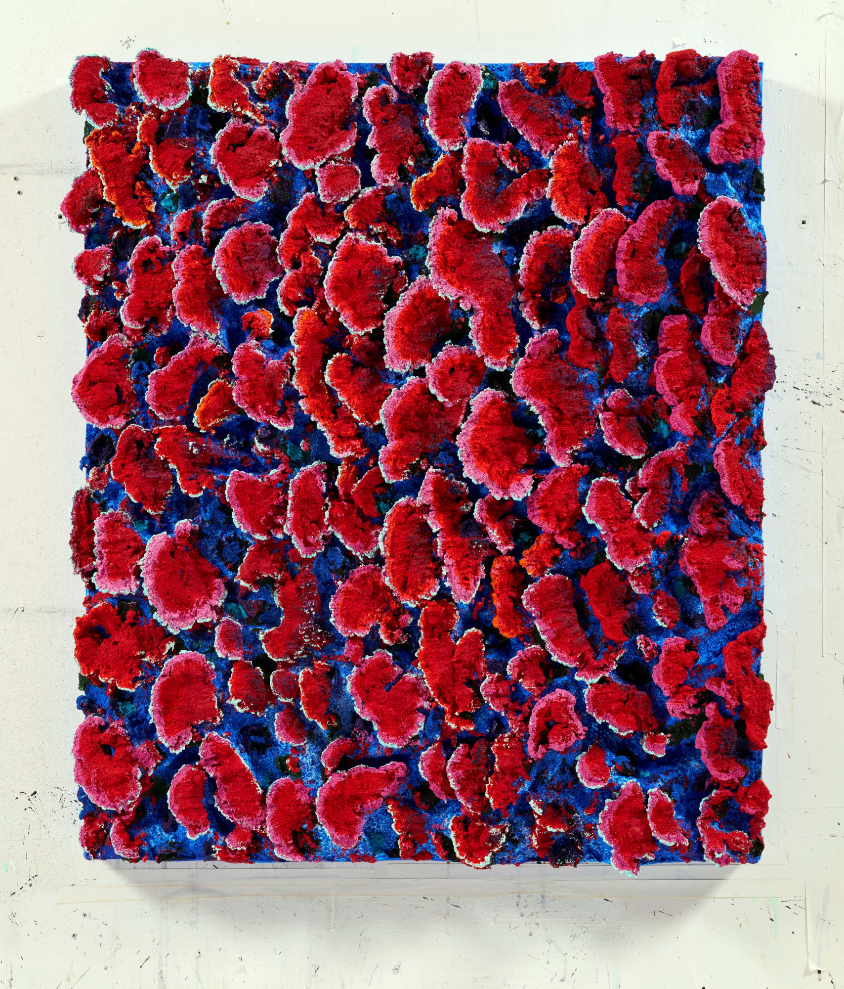 Nabil Nahas, Untitled, 2017