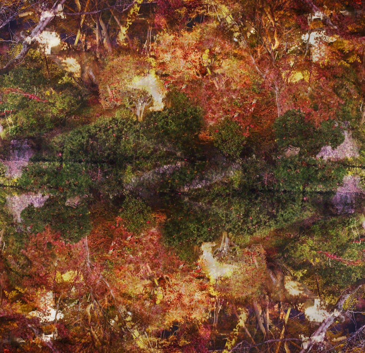 Ori Gersht, Floating World 03, 2016