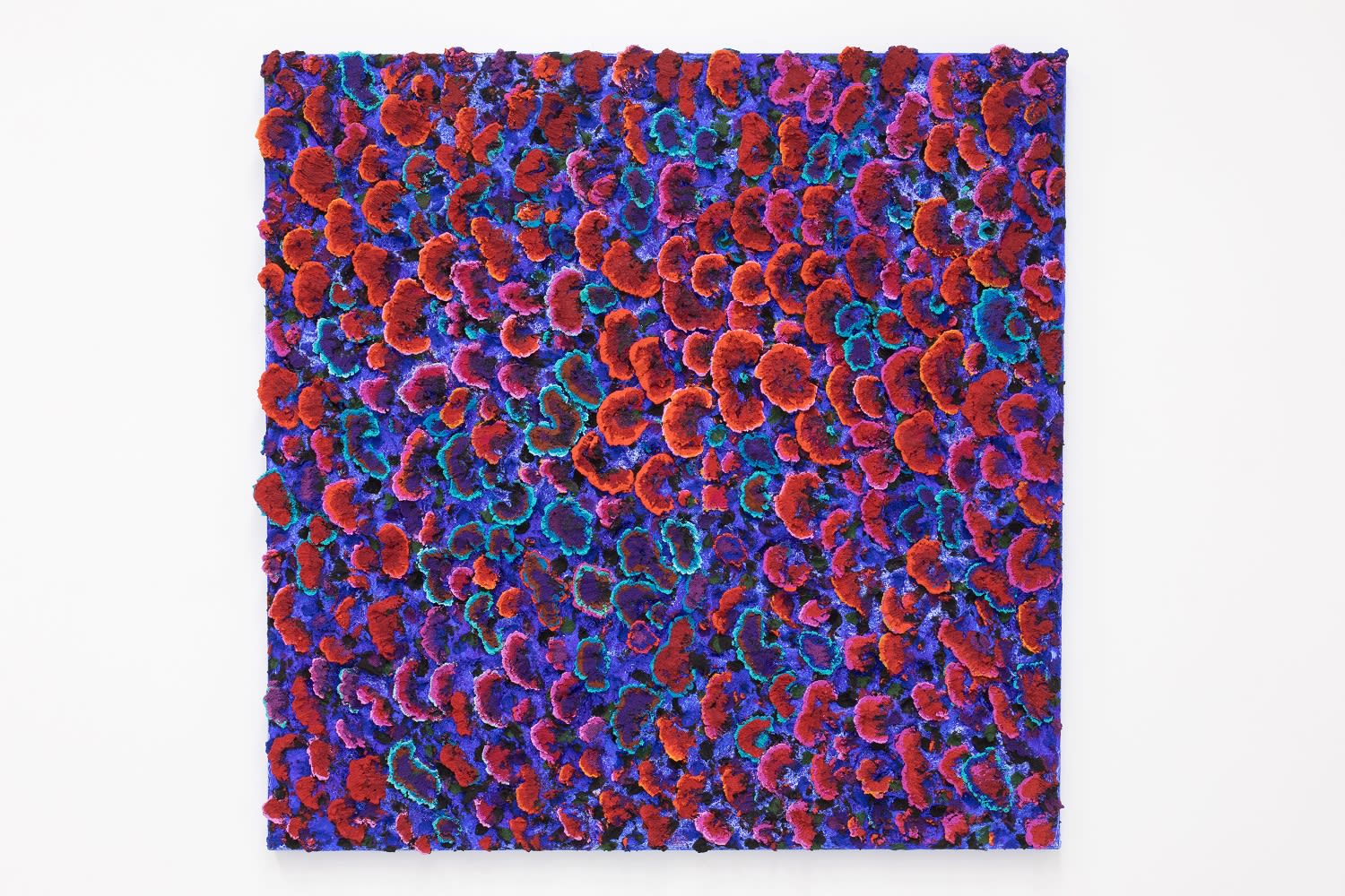 Nabil Nahas, Untitled, 2017