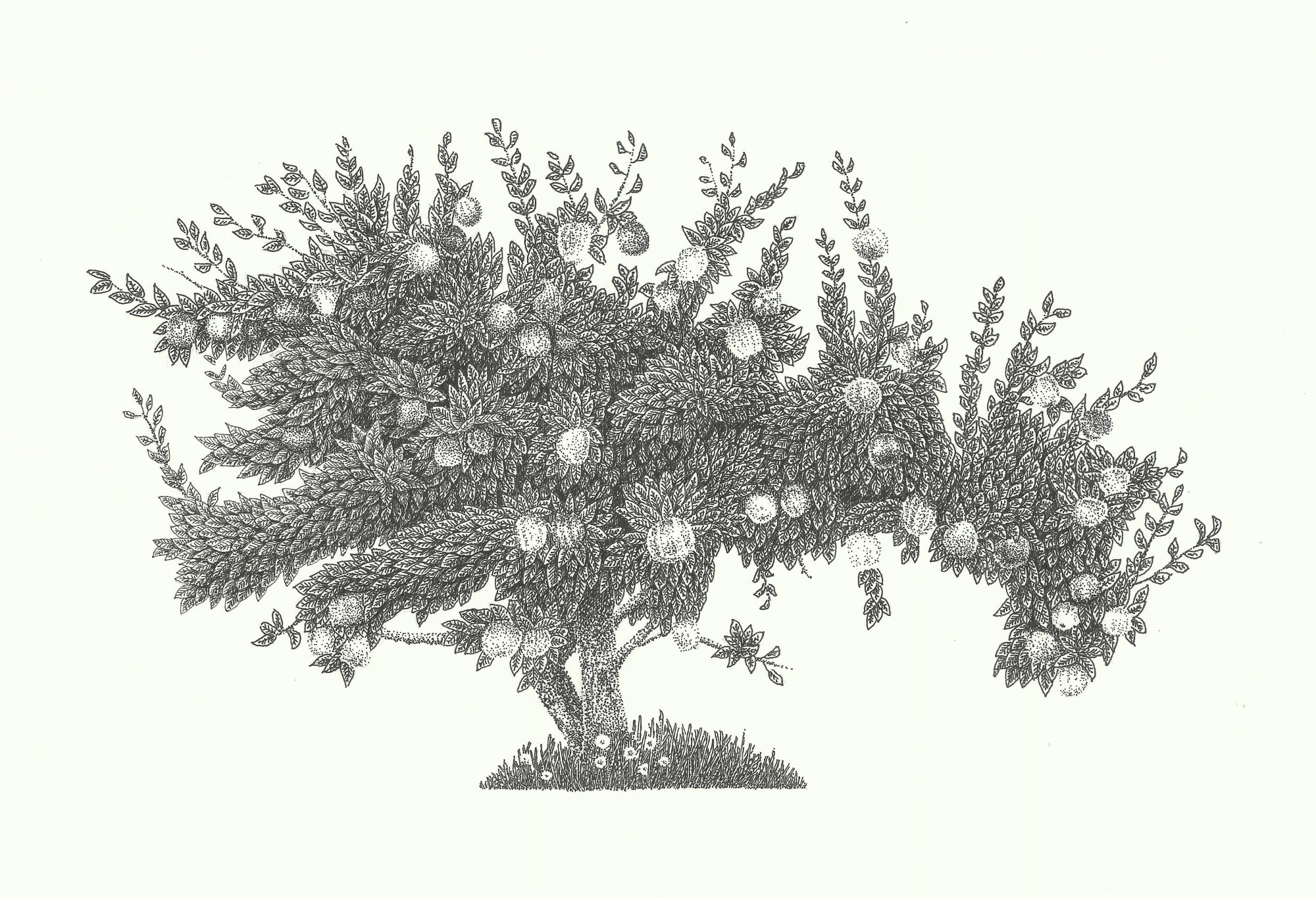 Dea Svensson, People/Places, 2021