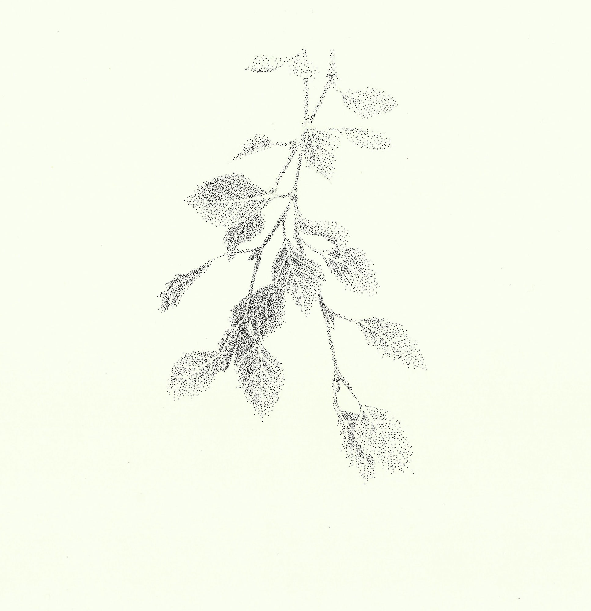 Dea Svensson, Underjordiska, 2021