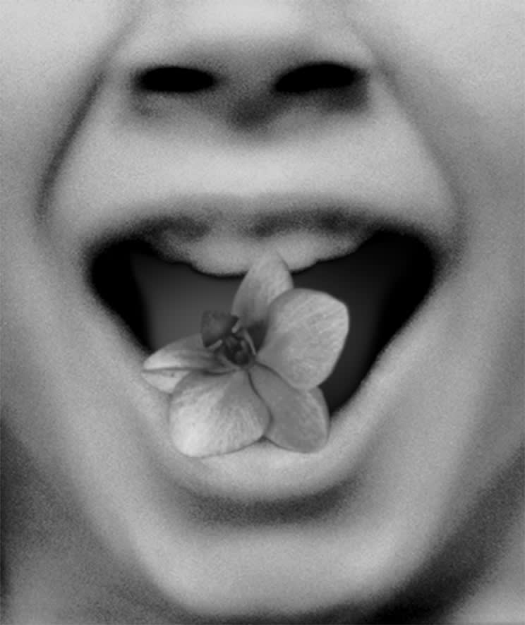 Pat Brassington, The Permissions #6, 2013