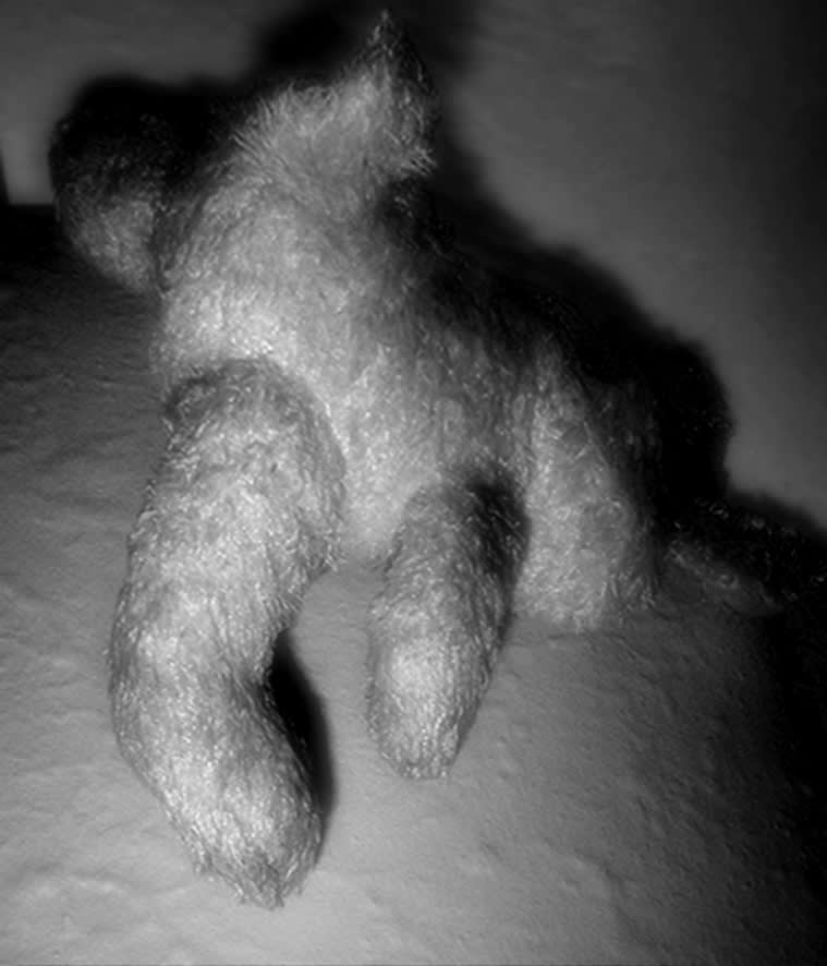 Pat Brassington, The Permissions #5, 2013