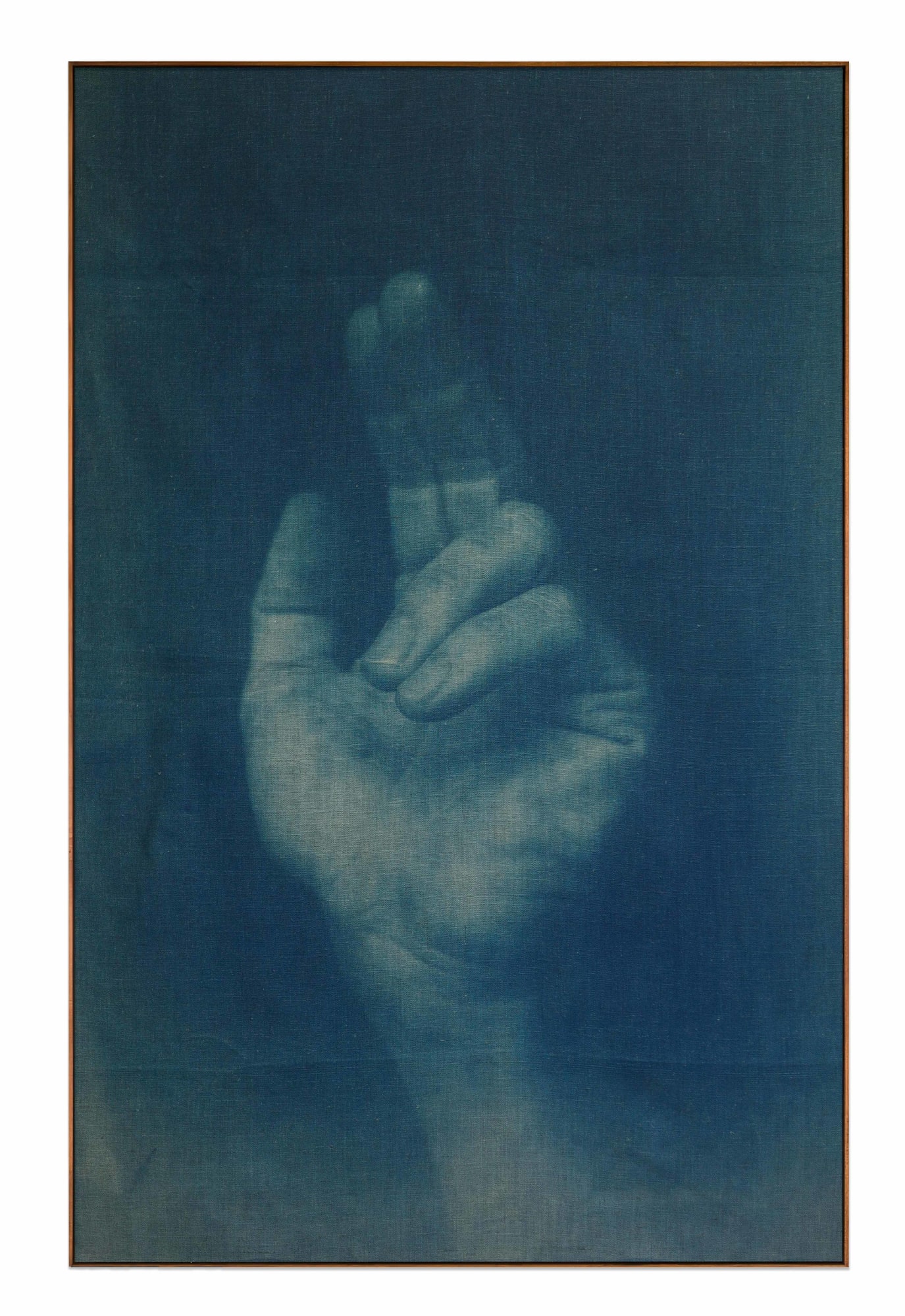 Adam Jeppesen, Work no. 163, from the series The Pond, 2025