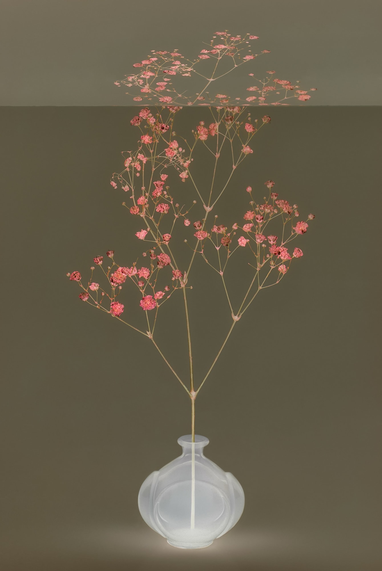 Danielle Kwaaitaal, Mirage Series - Baby's Breath, 2024