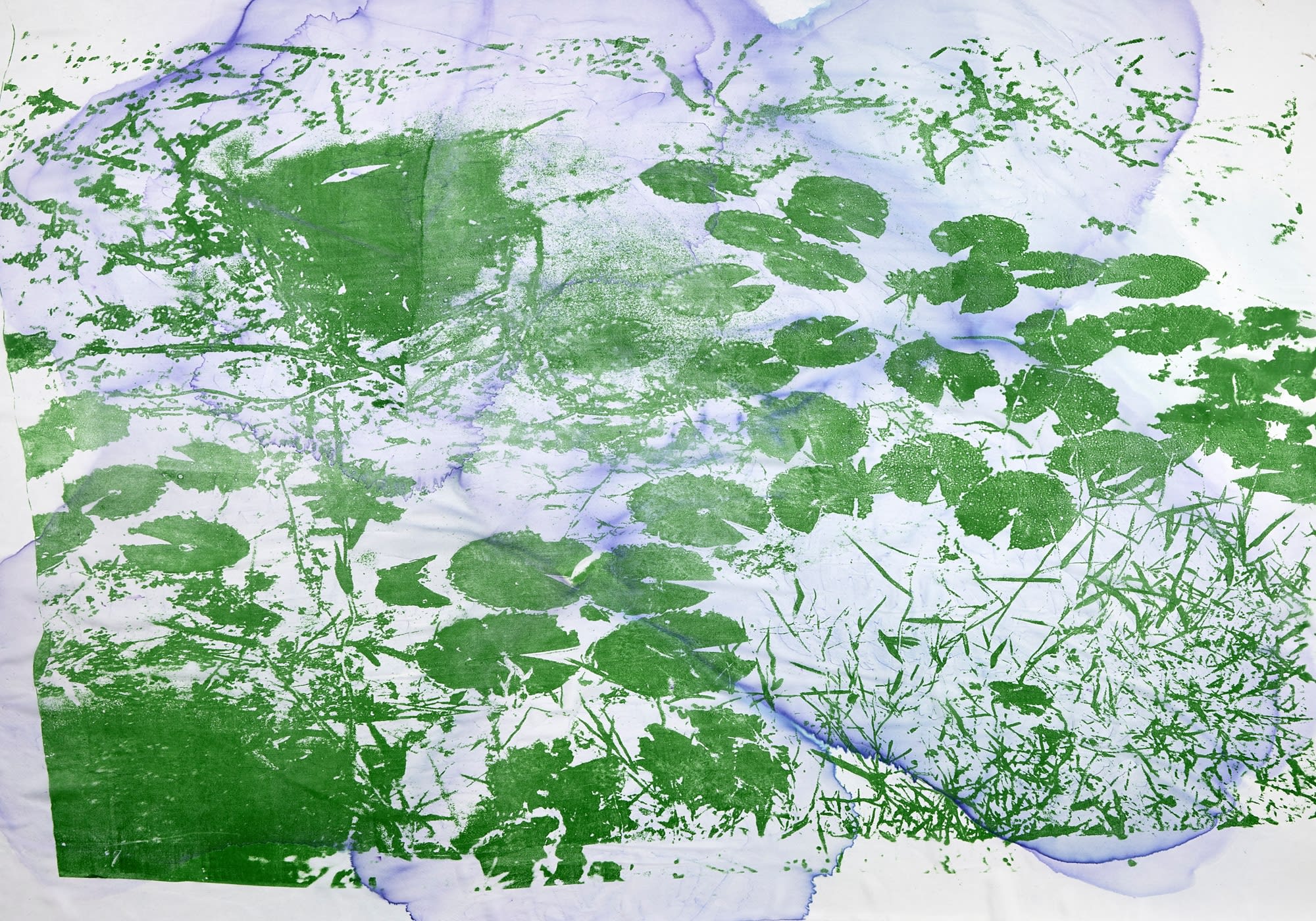 Douglas Mandry, Untitled (Nympheas), from the series Les Archives de la Planète, 2024