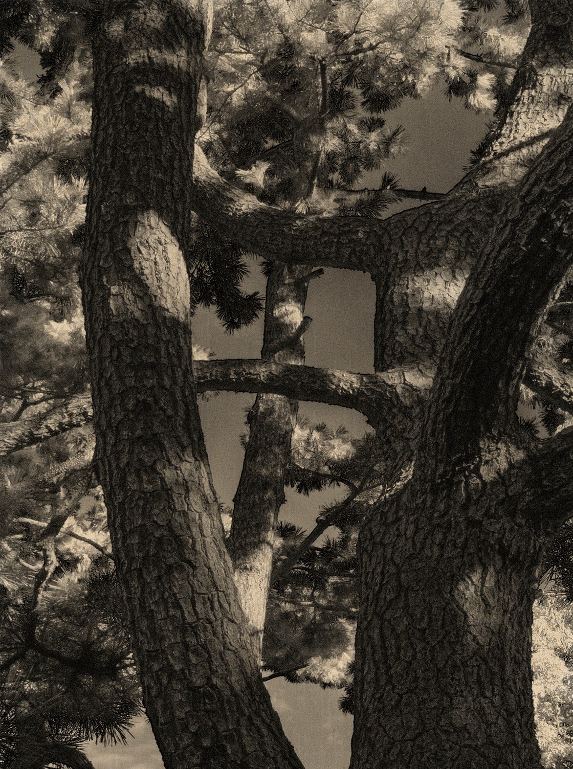 Paul Cupido, September, 2022