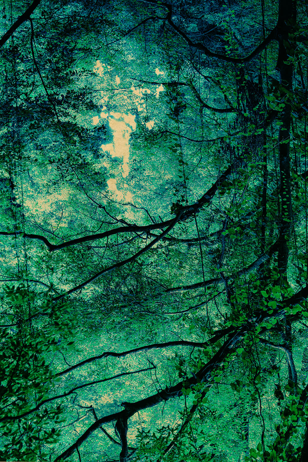 Albarrán Cabrera, The Mouth of Krishna #409, 2017