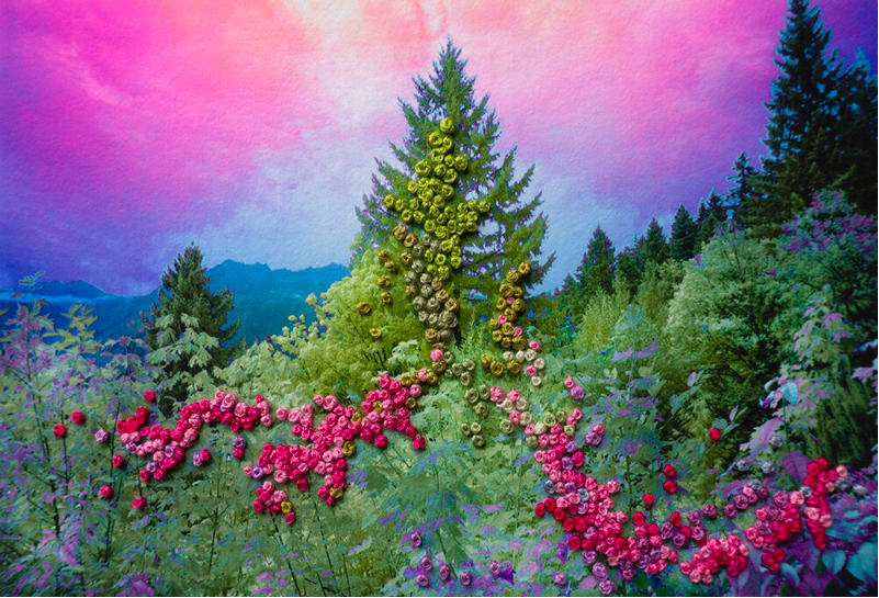 Adriene Hughes, The Secret Life of Trees, Image #01, 2019