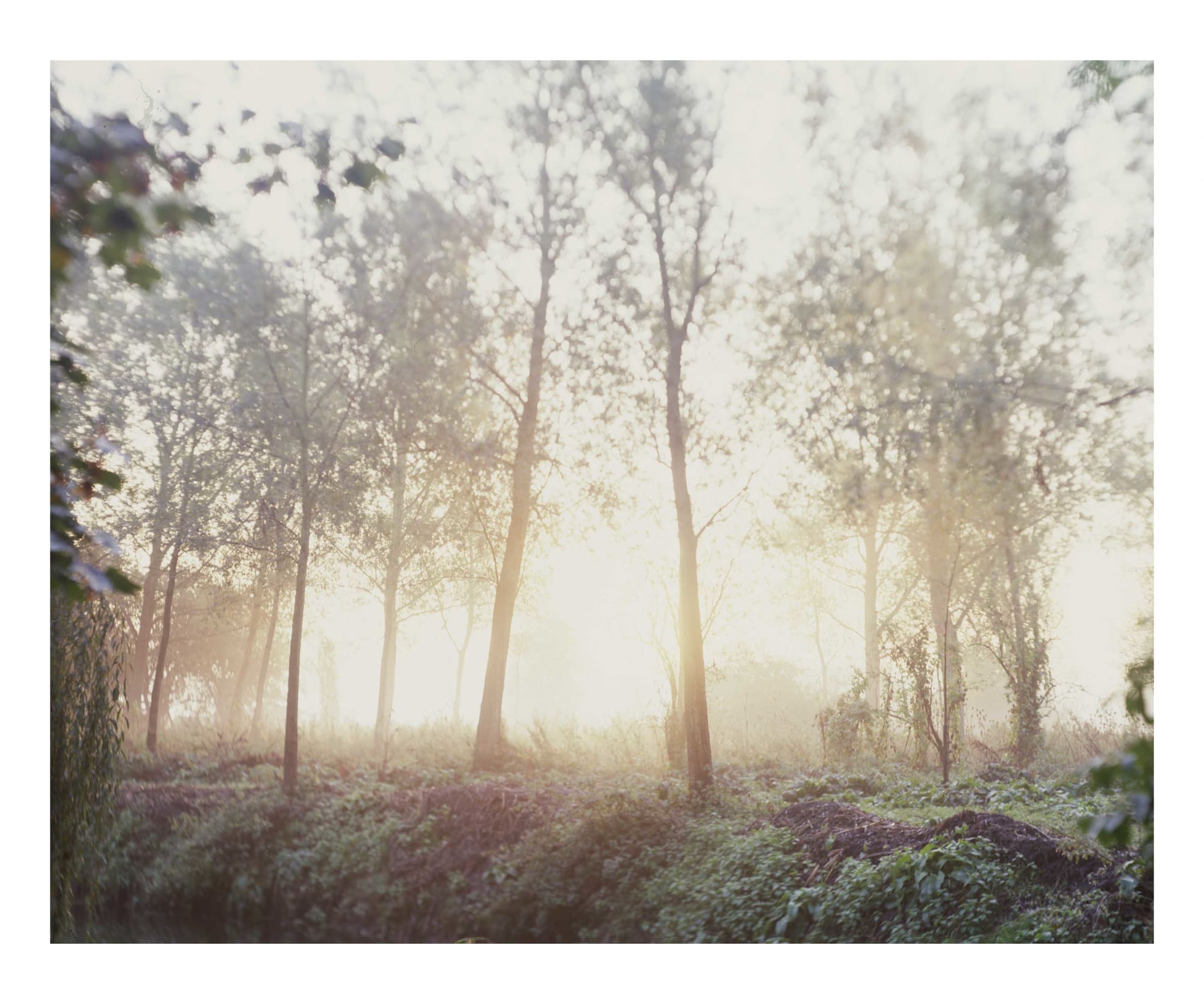 Steve Macleod, We Two Together, 2009