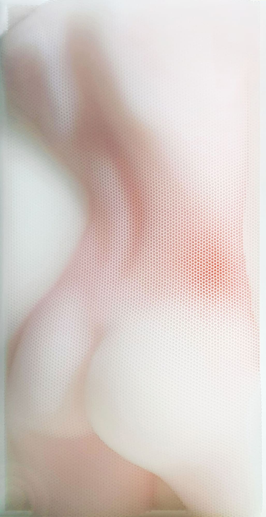 Sang-Sik Hong, TB, 2016