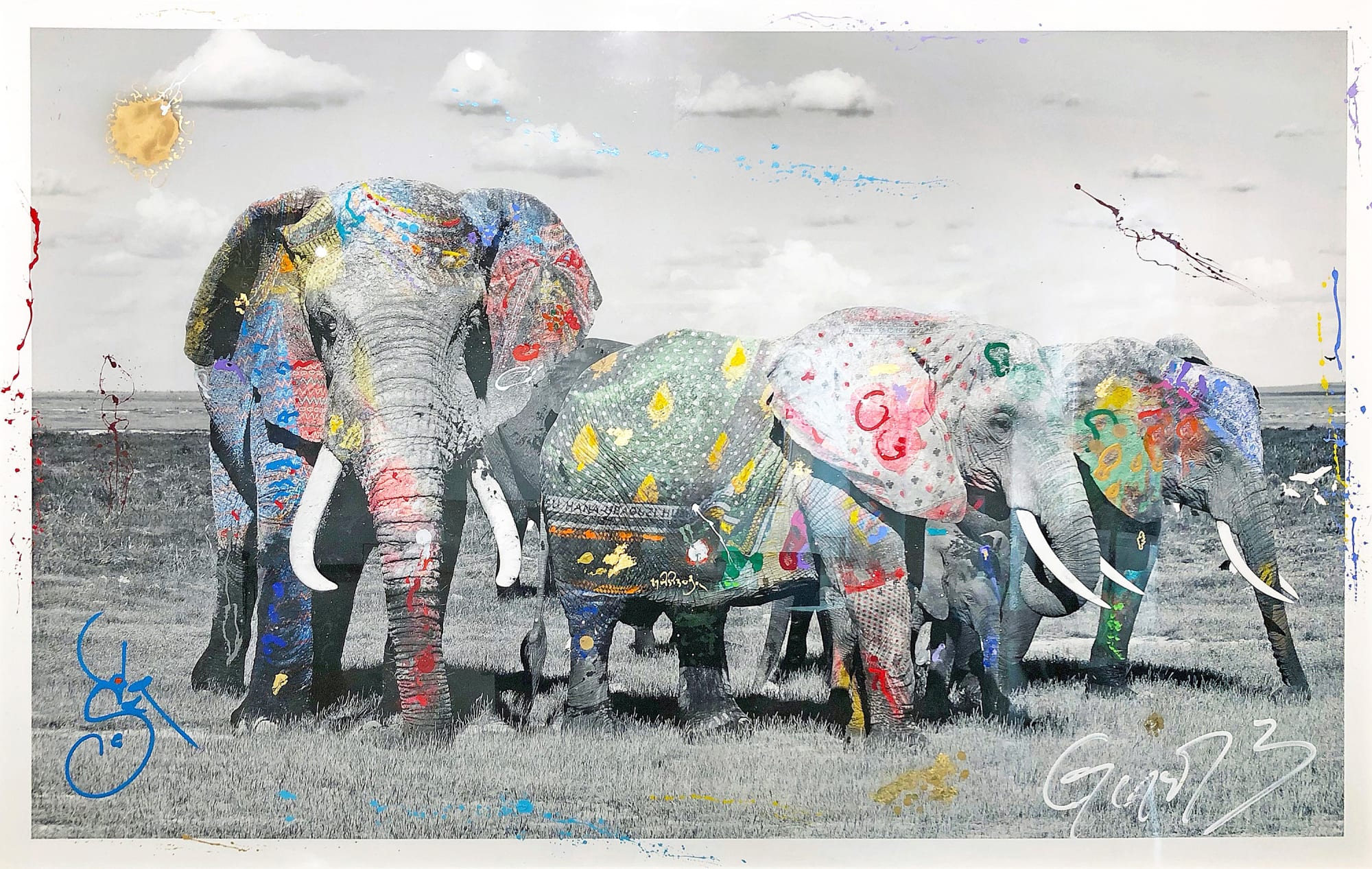 Arno Elias, Amboseli