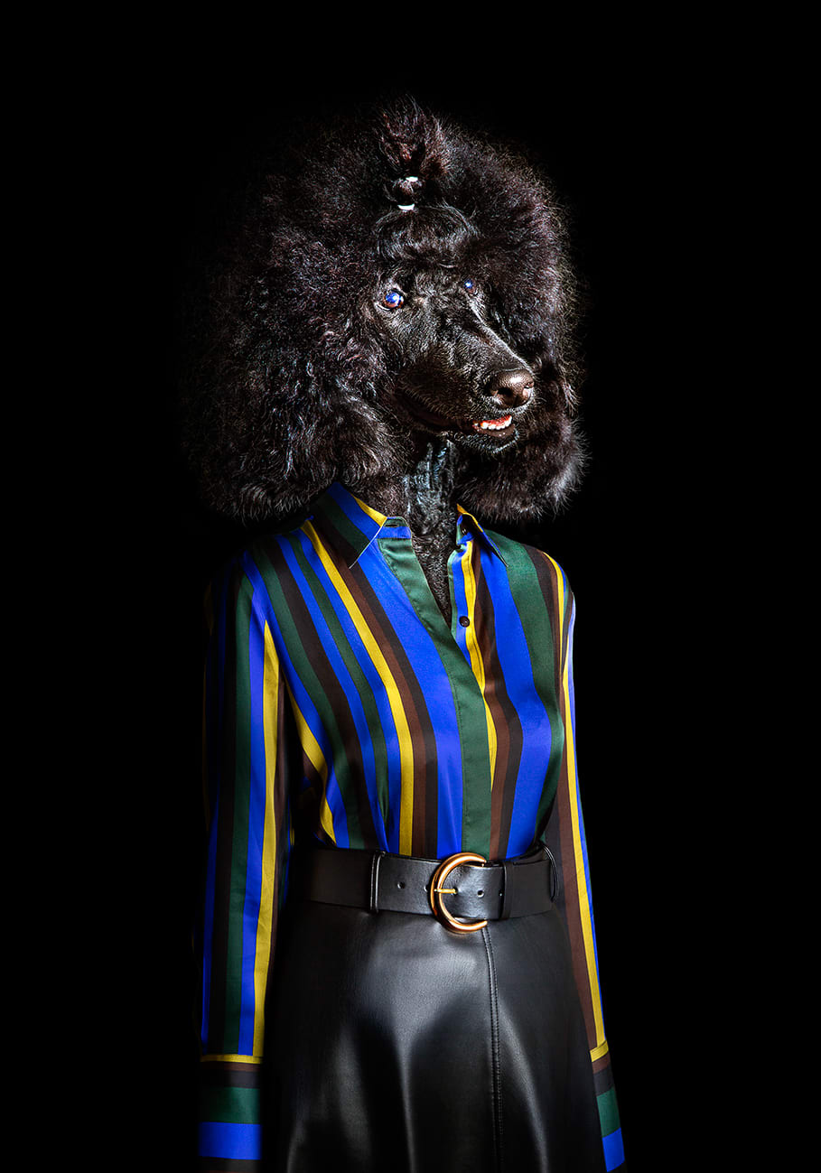 Miguel Vallinas, No. 3 (Lidia)