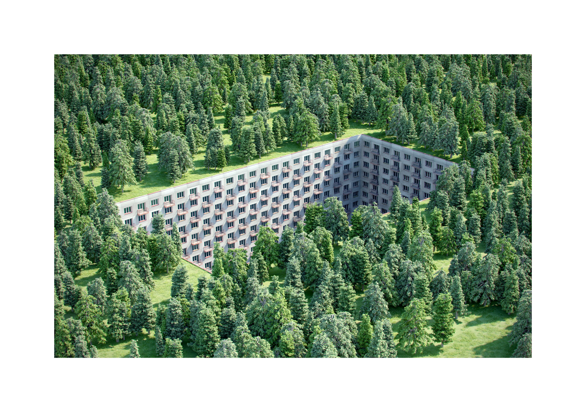 Jakub Geltner, A Small Part of a Large Story, 2012