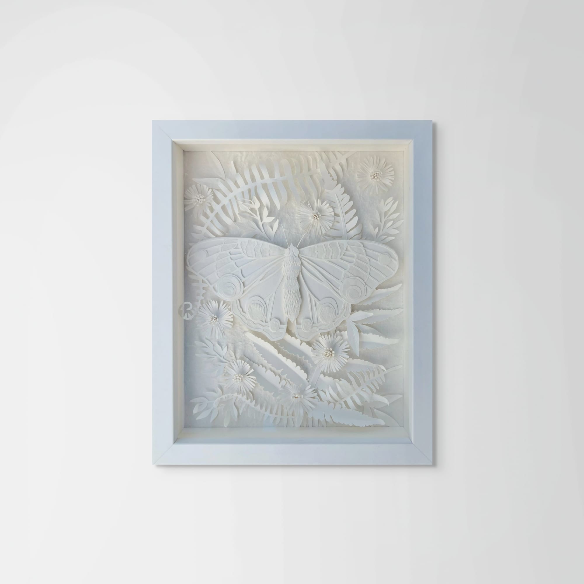 Raven Smith, Virginia Natives: Buckeye Butterfly, 2024