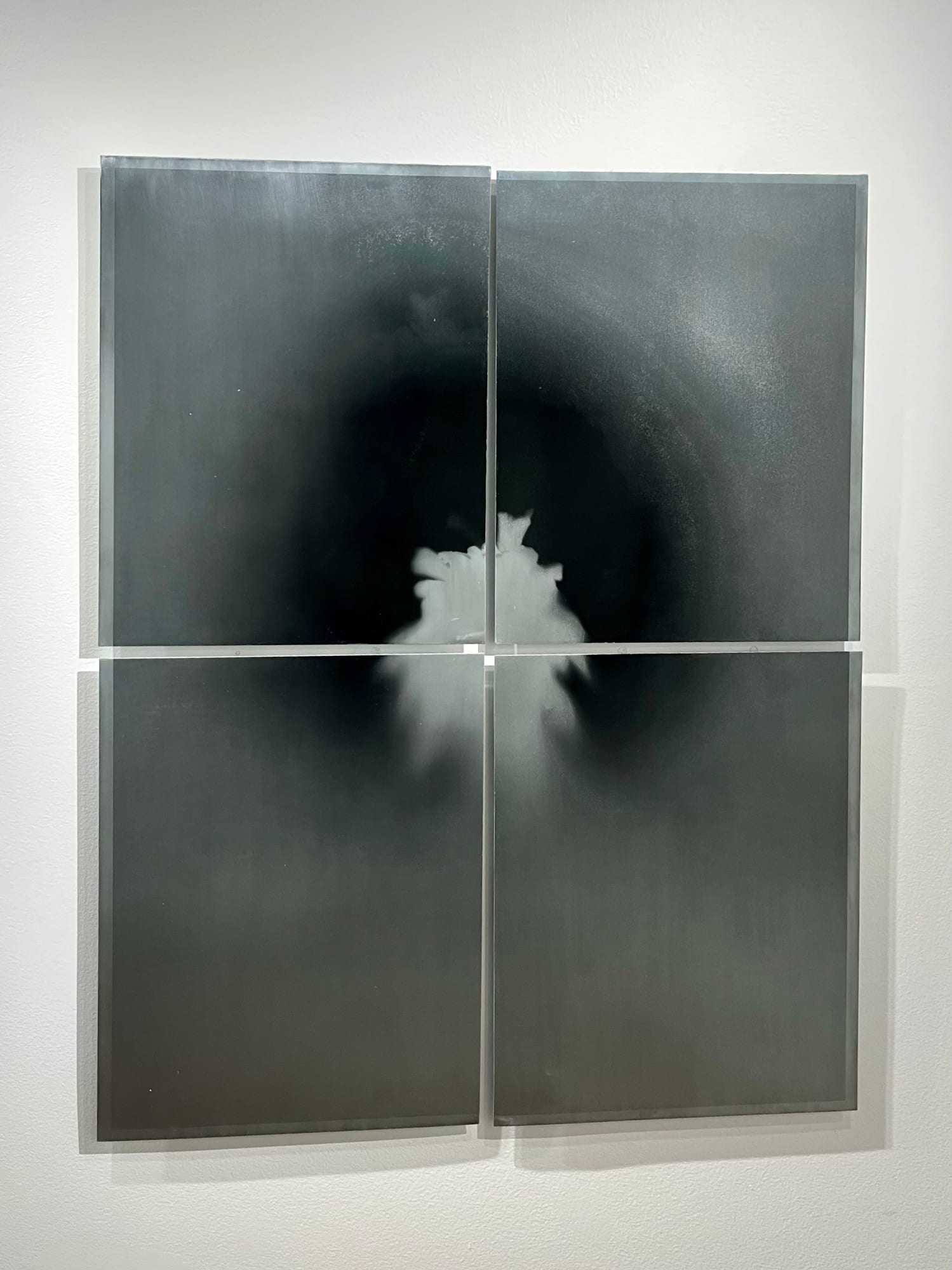 Peter Cochrane, The Magician Longs to See - Lodgepole Pine (2), 2024