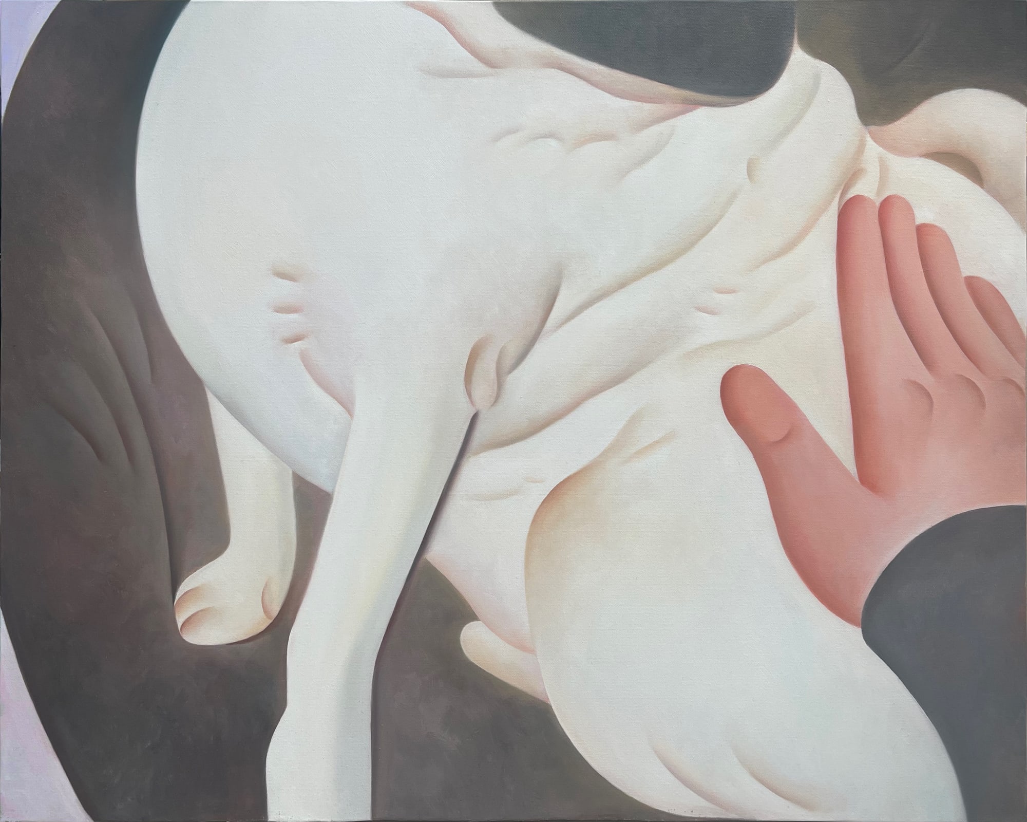 钱澔 Qian Hao, 感受温暖 Feel the Warmth, 2023