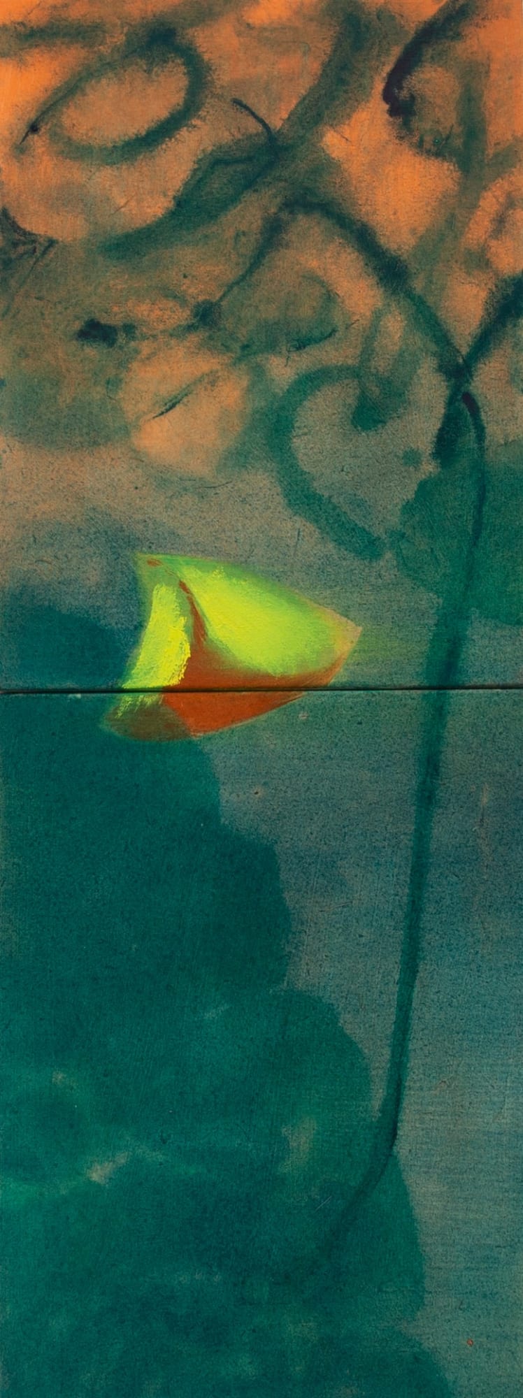 张萌萌 Zhang Mengmeng, 蛾 Moth, 2024